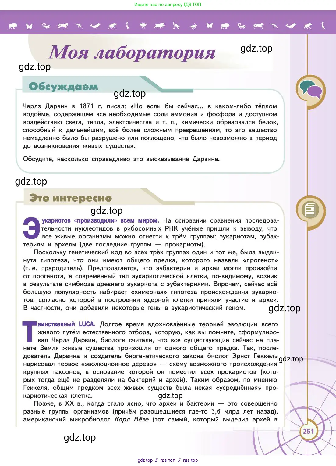 Биология, 11 класс Учебник, авторы: Пасечник Владимир Васильевич, Каменский Андрей Александрович, Рубцов Александр Михайлович, Швецов Глеб Геннадьевич, Абовян Леван Арташесович, Гапонюк Зоя Георгиевна, издательство Просвещение, Москва, 2019, страница 251