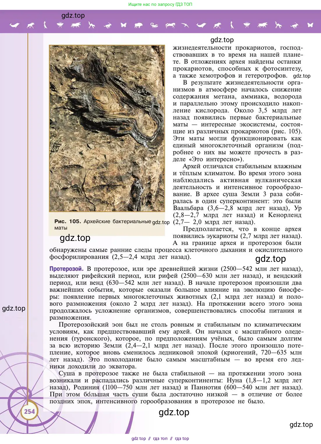 Биология, 11 класс Учебник, авторы: Пасечник Владимир Васильевич, Каменский Андрей Александрович, Рубцов Александр Михайлович, Швецов Глеб Геннадьевич, Абовян Леван Арташесович, Гапонюк Зоя Георгиевна, издательство Просвещение, Москва, 2019, страница 254