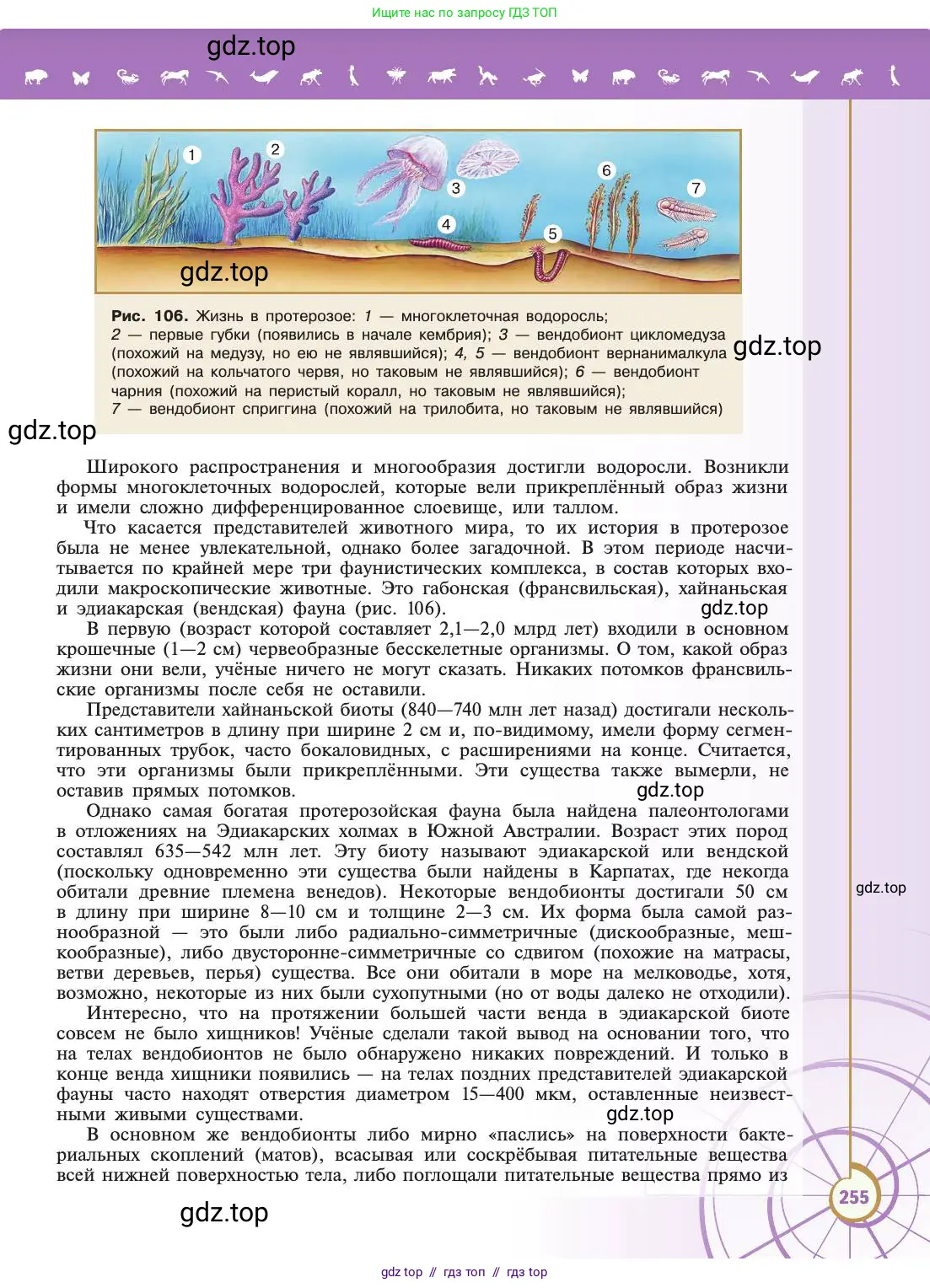 Биология, 11 класс Учебник, авторы: Пасечник Владимир Васильевич, Каменский Андрей Александрович, Рубцов Александр Михайлович, Швецов Глеб Геннадьевич, Абовян Леван Арташесович, Гапонюк Зоя Георгиевна, издательство Просвещение, Москва, 2019, страница 255