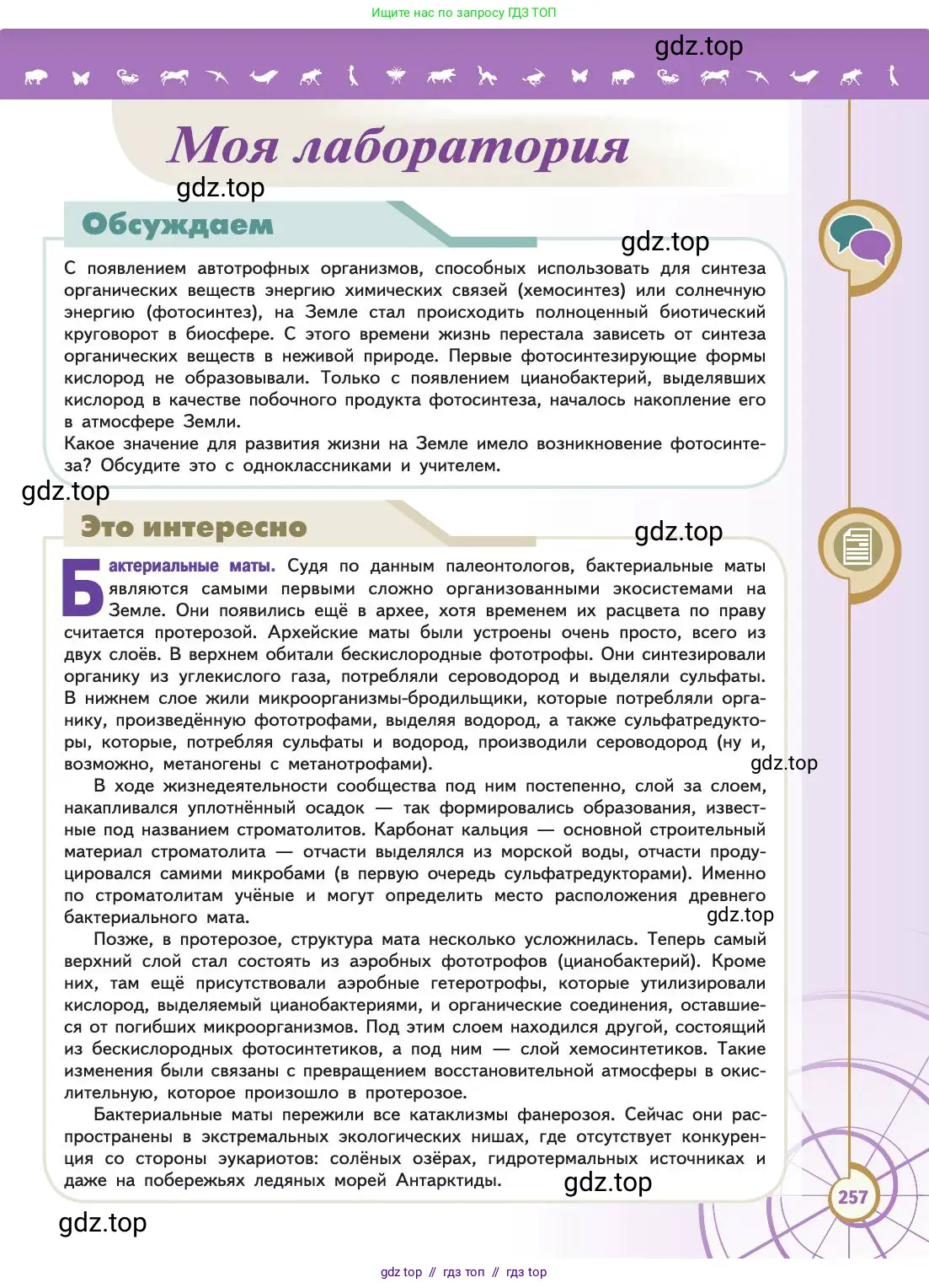 Биология, 11 класс Учебник, авторы: Пасечник Владимир Васильевич, Каменский Андрей Александрович, Рубцов Александр Михайлович, Швецов Глеб Геннадьевич, Абовян Леван Арташесович, Гапонюк Зоя Георгиевна, издательство Просвещение, Москва, 2019, страница 257