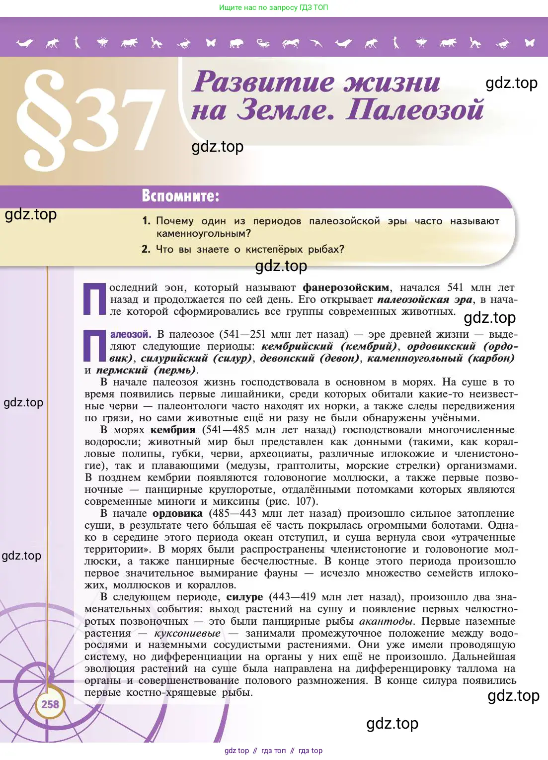 Биология, 11 класс Учебник, авторы: Пасечник Владимир Васильевич, Каменский Андрей Александрович, Рубцов Александр Михайлович, Швецов Глеб Геннадьевич, Абовян Леван Арташесович, Гапонюк Зоя Георгиевна, издательство Просвещение, Москва, 2019, страница 258
