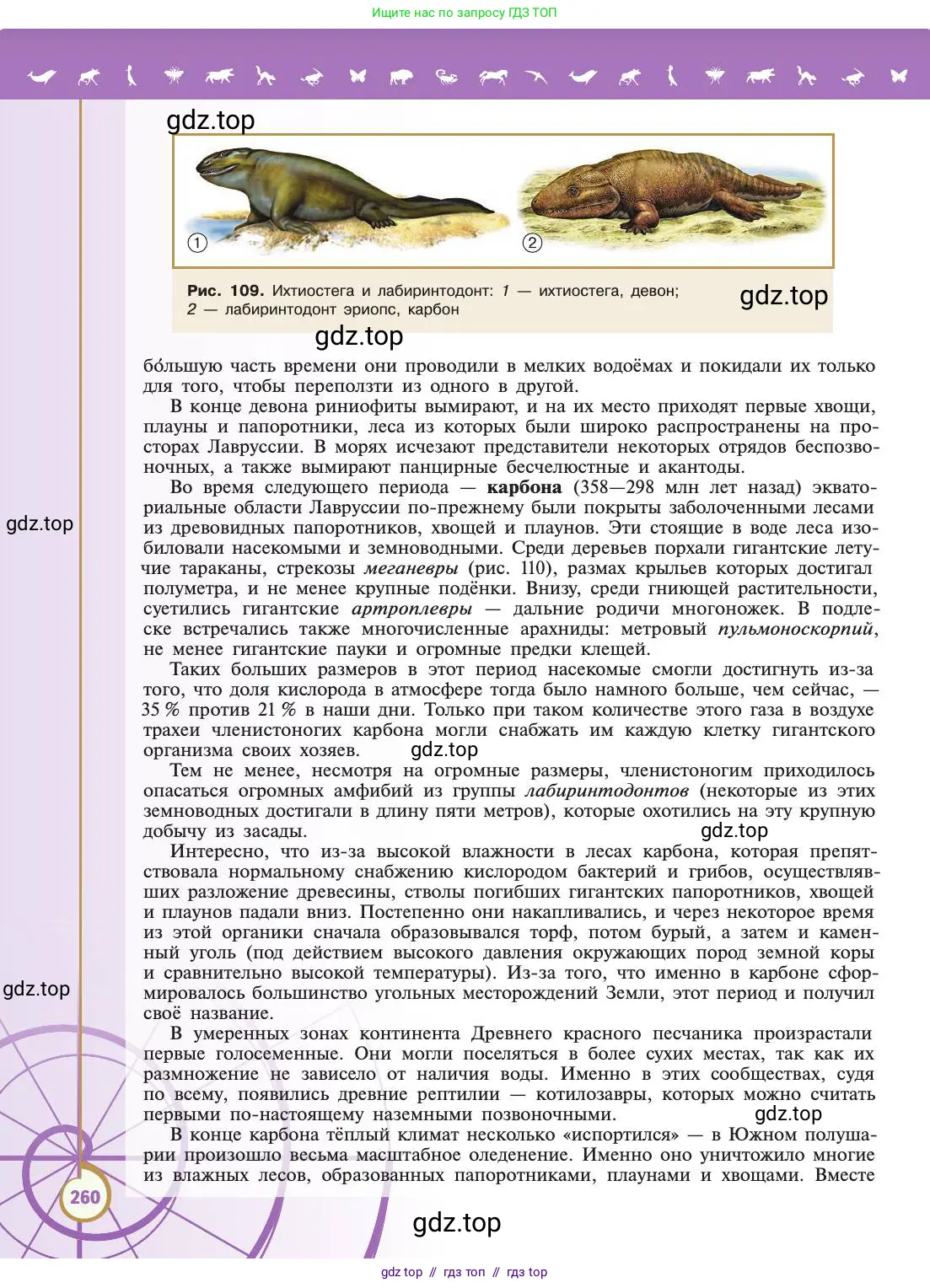 Биология, 11 класс Учебник, авторы: Пасечник Владимир Васильевич, Каменский Андрей Александрович, Рубцов Александр Михайлович, Швецов Глеб Геннадьевич, Абовян Леван Арташесович, Гапонюк Зоя Георгиевна, издательство Просвещение, Москва, 2019, страница 260