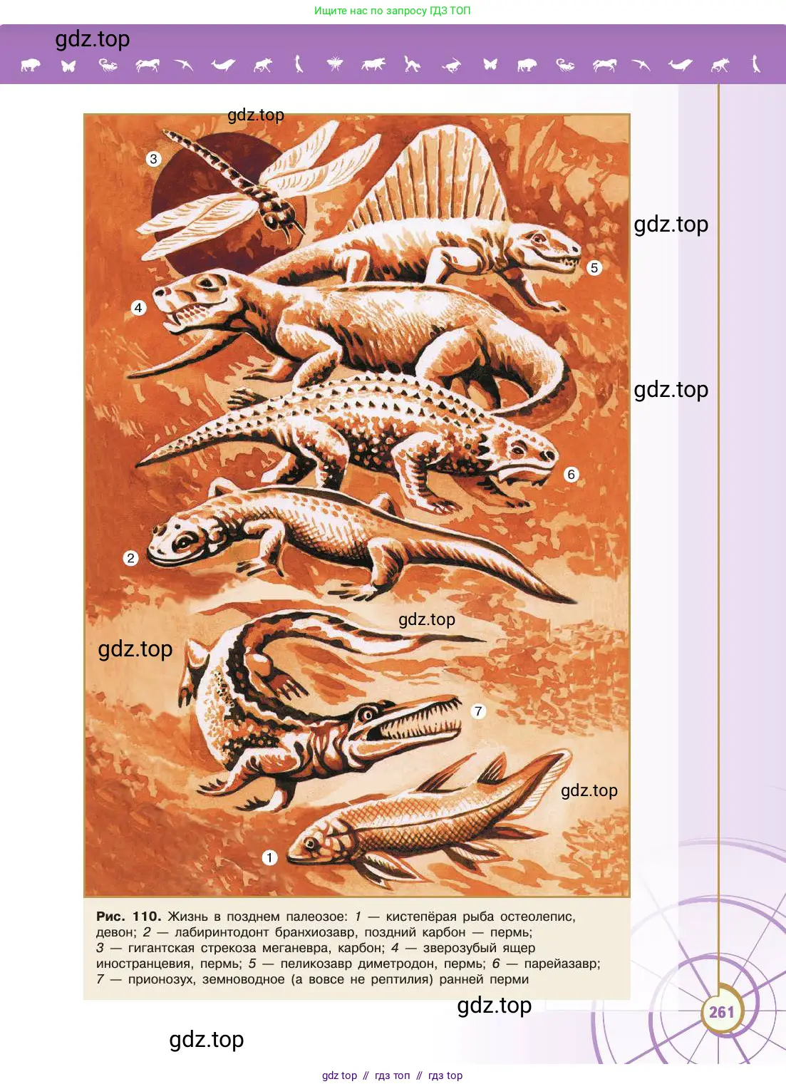 Биология, 11 класс Учебник, авторы: Пасечник Владимир Васильевич, Каменский Андрей Александрович, Рубцов Александр Михайлович, Швецов Глеб Геннадьевич, Абовян Леван Арташесович, Гапонюк Зоя Георгиевна, издательство Просвещение, Москва, 2019, страница 261