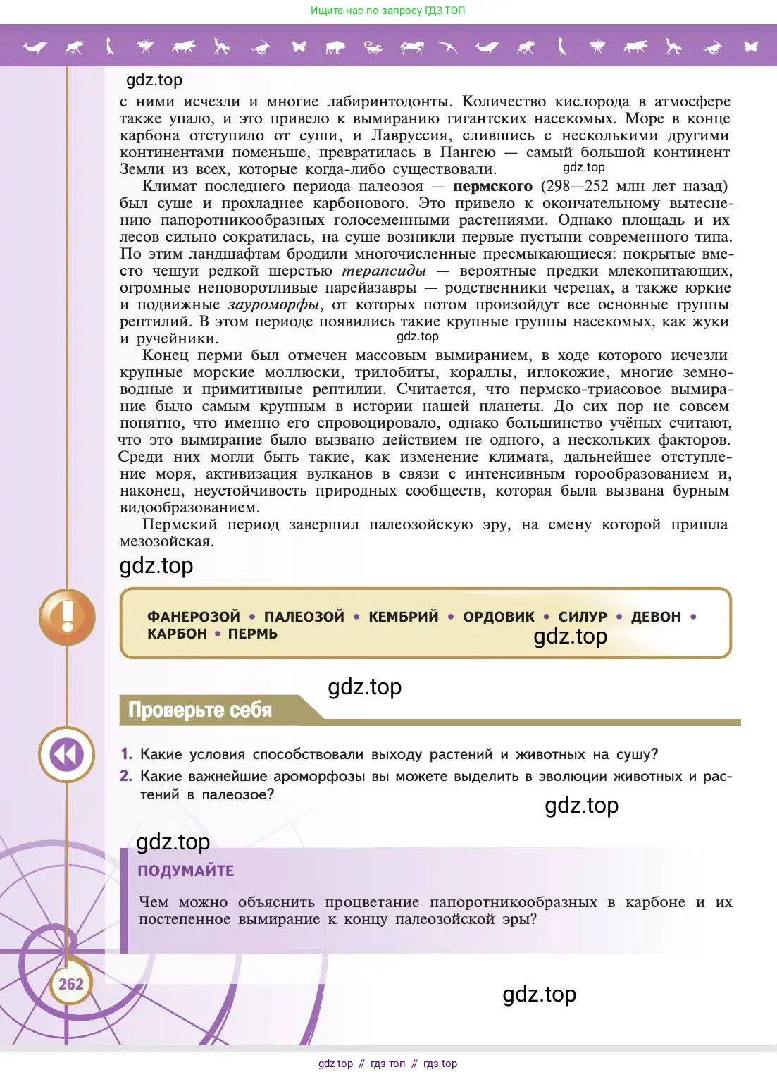 Биология, 11 класс Учебник, авторы: Пасечник Владимир Васильевич, Каменский Андрей Александрович, Рубцов Александр Михайлович, Швецов Глеб Геннадьевич, Абовян Леван Арташесович, Гапонюк Зоя Георгиевна, издательство Просвещение, Москва, 2019, страница 262