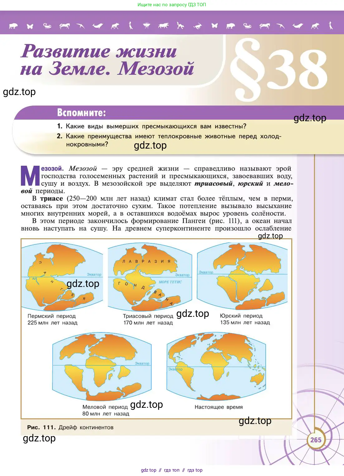 Биология, 11 класс Учебник, авторы: Пасечник Владимир Васильевич, Каменский Андрей Александрович, Рубцов Александр Михайлович, Швецов Глеб Геннадьевич, Абовян Леван Арташесович, Гапонюк Зоя Георгиевна, издательство Просвещение, Москва, 2019, страница 265