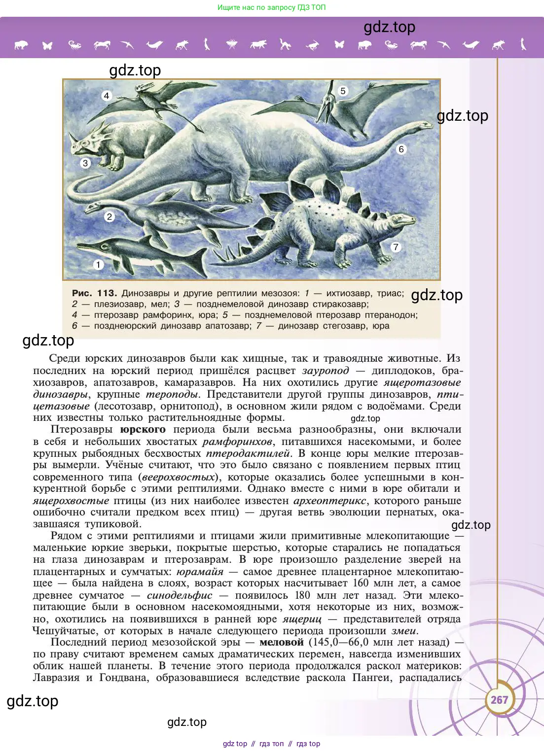Биология, 11 класс Учебник, авторы: Пасечник Владимир Васильевич, Каменский Андрей Александрович, Рубцов Александр Михайлович, Швецов Глеб Геннадьевич, Абовян Леван Арташесович, Гапонюк Зоя Георгиевна, издательство Просвещение, Москва, 2019, страница 267