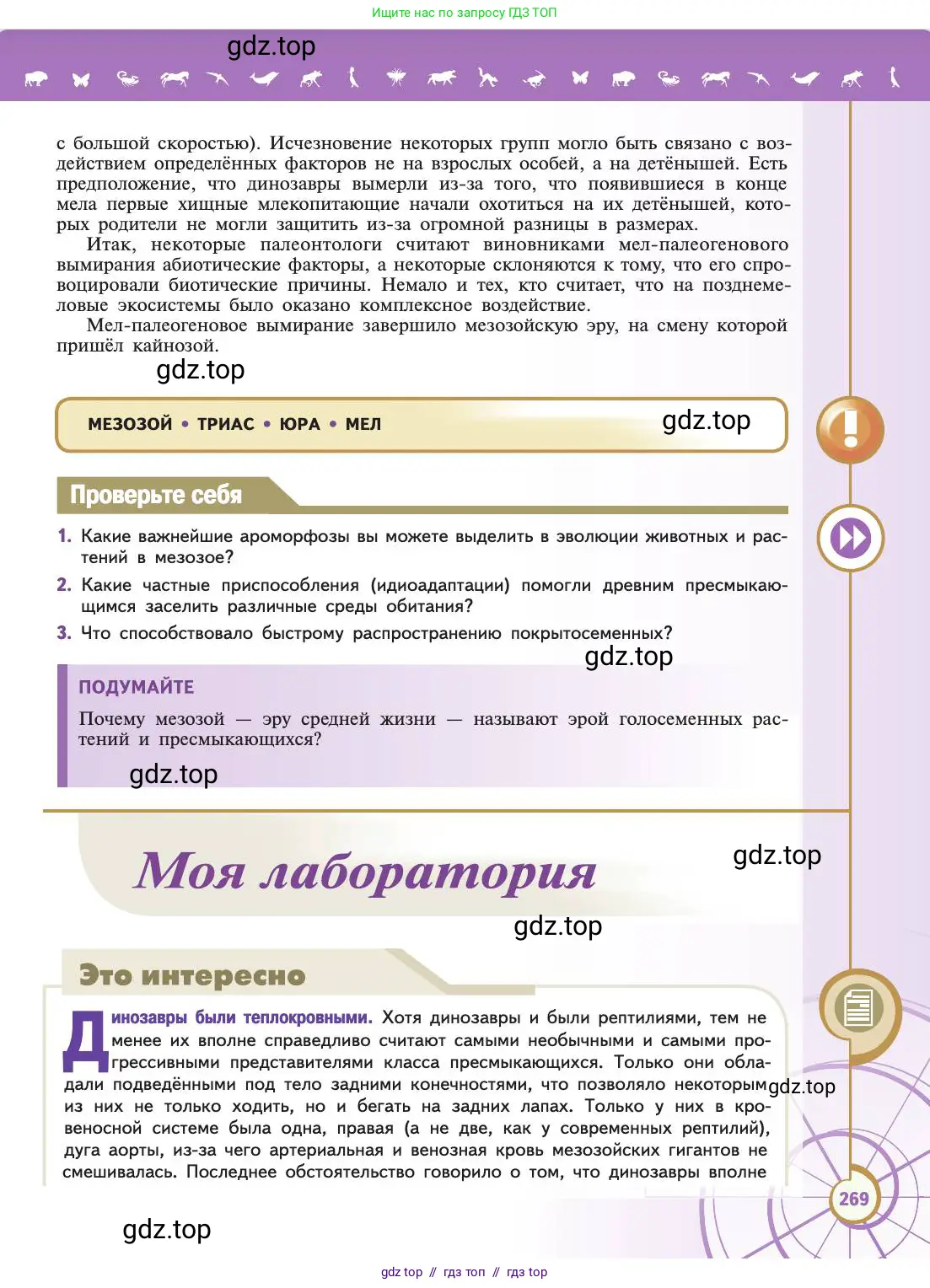 Биология, 11 класс Учебник, авторы: Пасечник Владимир Васильевич, Каменский Андрей Александрович, Рубцов Александр Михайлович, Швецов Глеб Геннадьевич, Абовян Леван Арташесович, Гапонюк Зоя Георгиевна, издательство Просвещение, Москва, 2019, страница 269