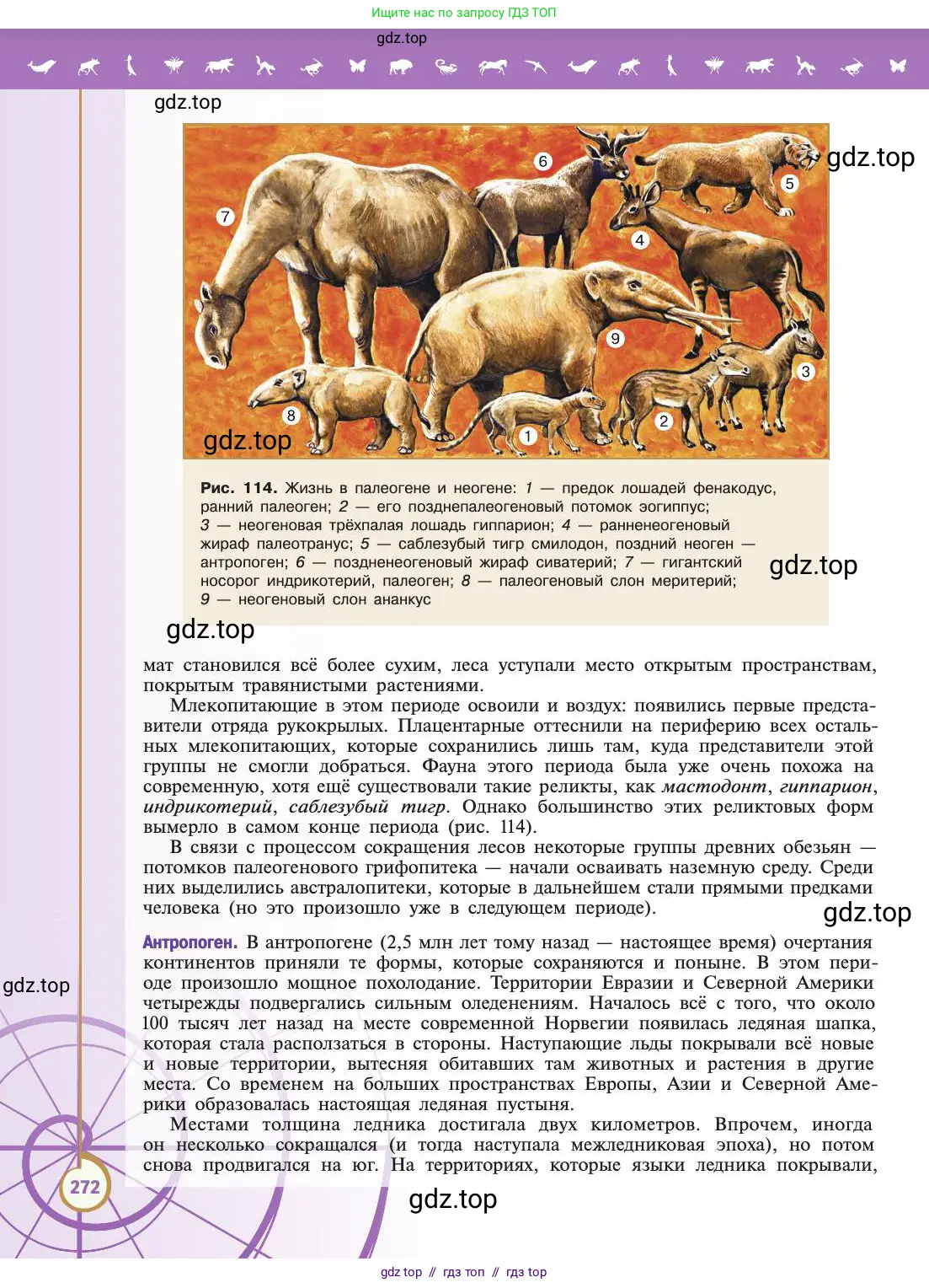 Биология, 11 класс Учебник, авторы: Пасечник Владимир Васильевич, Каменский Андрей Александрович, Рубцов Александр Михайлович, Швецов Глеб Геннадьевич, Абовян Леван Арташесович, Гапонюк Зоя Георгиевна, издательство Просвещение, Москва, 2019, страница 272