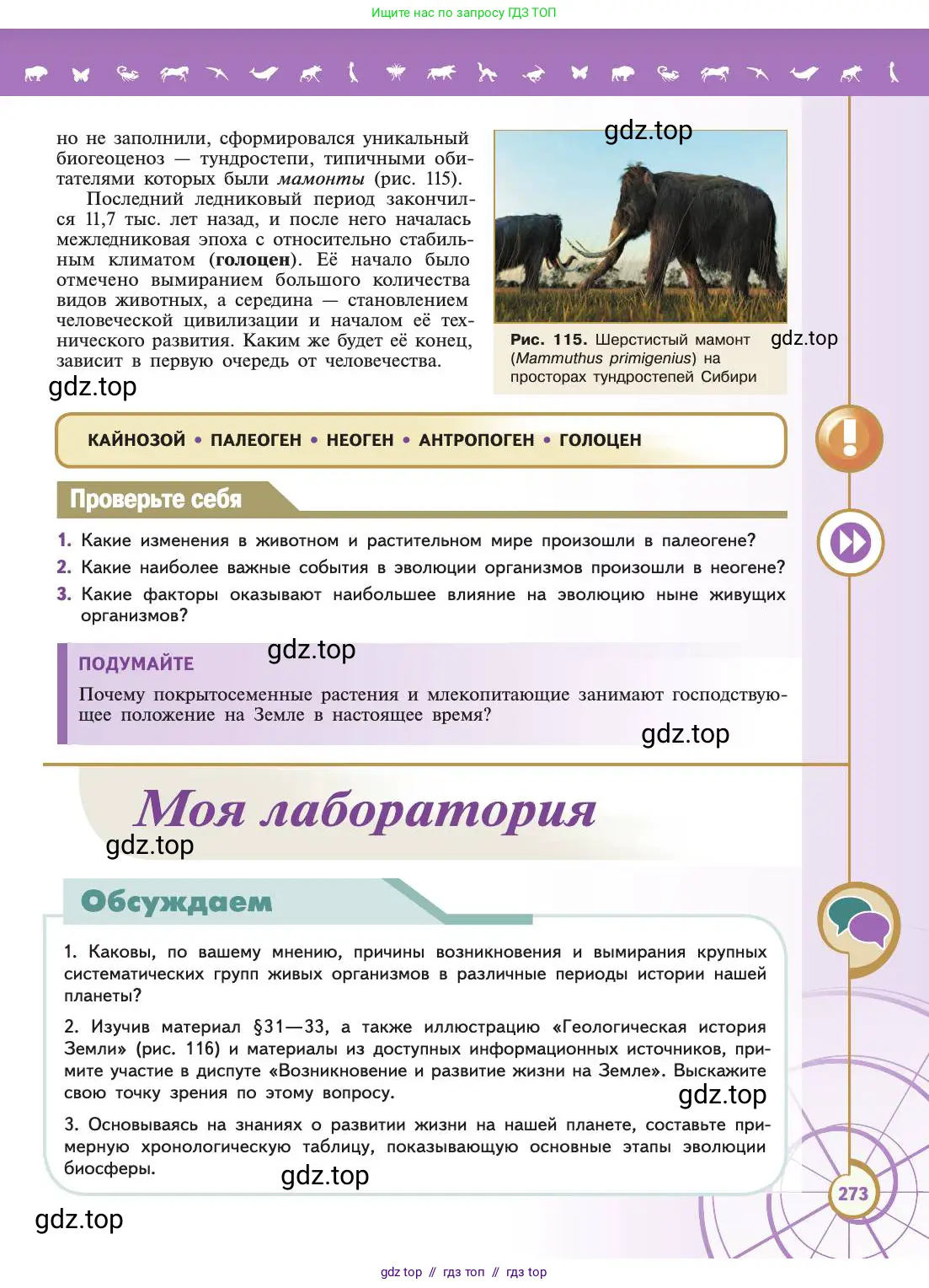 Биология, 11 класс Учебник, авторы: Пасечник Владимир Васильевич, Каменский Андрей Александрович, Рубцов Александр Михайлович, Швецов Глеб Геннадьевич, Абовян Леван Арташесович, Гапонюк Зоя Георгиевна, издательство Просвещение, Москва, 2019, страница 273