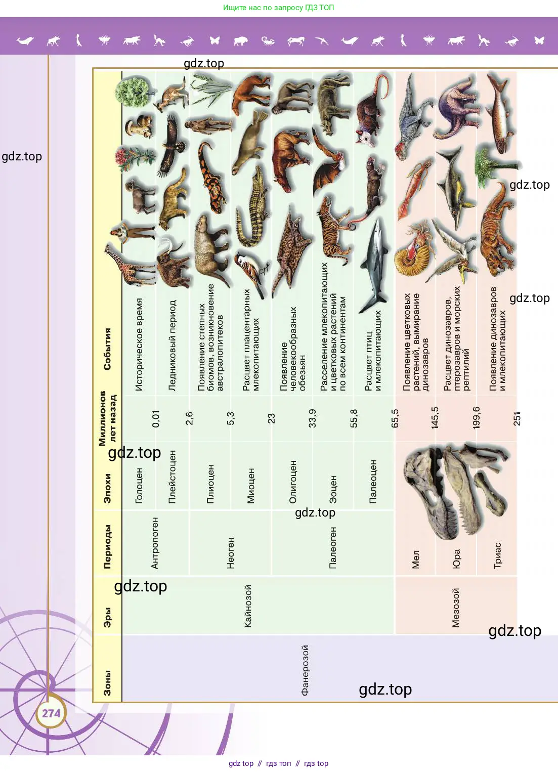 Биология, 11 класс Учебник, авторы: Пасечник Владимир Васильевич, Каменский Андрей Александрович, Рубцов Александр Михайлович, Швецов Глеб Геннадьевич, Абовян Леван Арташесович, Гапонюк Зоя Георгиевна, издательство Просвещение, Москва, 2019, страница 274