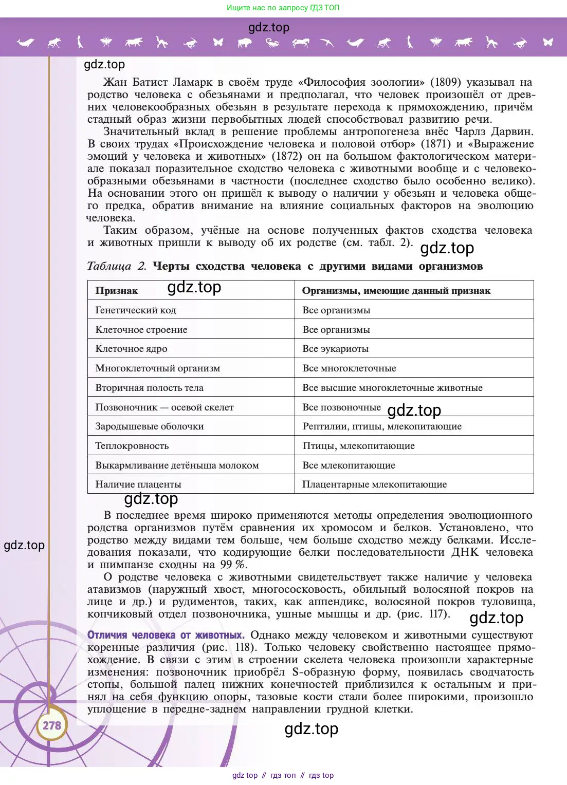 Биология, 11 класс Учебник, авторы: Пасечник Владимир Васильевич, Каменский Андрей Александрович, Рубцов Александр Михайлович, Швецов Глеб Геннадьевич, Абовян Леван Арташесович, Гапонюк Зоя Георгиевна, издательство Просвещение, Москва, 2019, страница 278