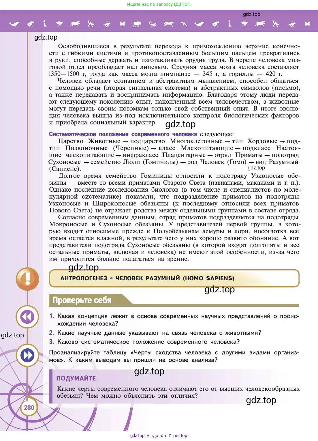 Биология, 11 класс Учебник, авторы: Пасечник Владимир Васильевич, Каменский Андрей Александрович, Рубцов Александр Михайлович, Швецов Глеб Геннадьевич, Абовян Леван Арташесович, Гапонюк Зоя Георгиевна, издательство Просвещение, Москва, 2019, страница 280