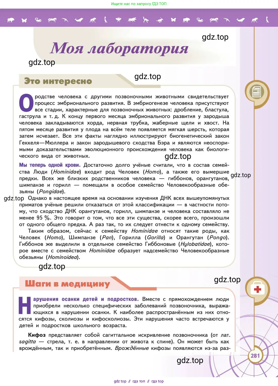 Биология, 11 класс Учебник, авторы: Пасечник Владимир Васильевич, Каменский Андрей Александрович, Рубцов Александр Михайлович, Швецов Глеб Геннадьевич, Абовян Леван Арташесович, Гапонюк Зоя Георгиевна, издательство Просвещение, Москва, 2019, страница 281