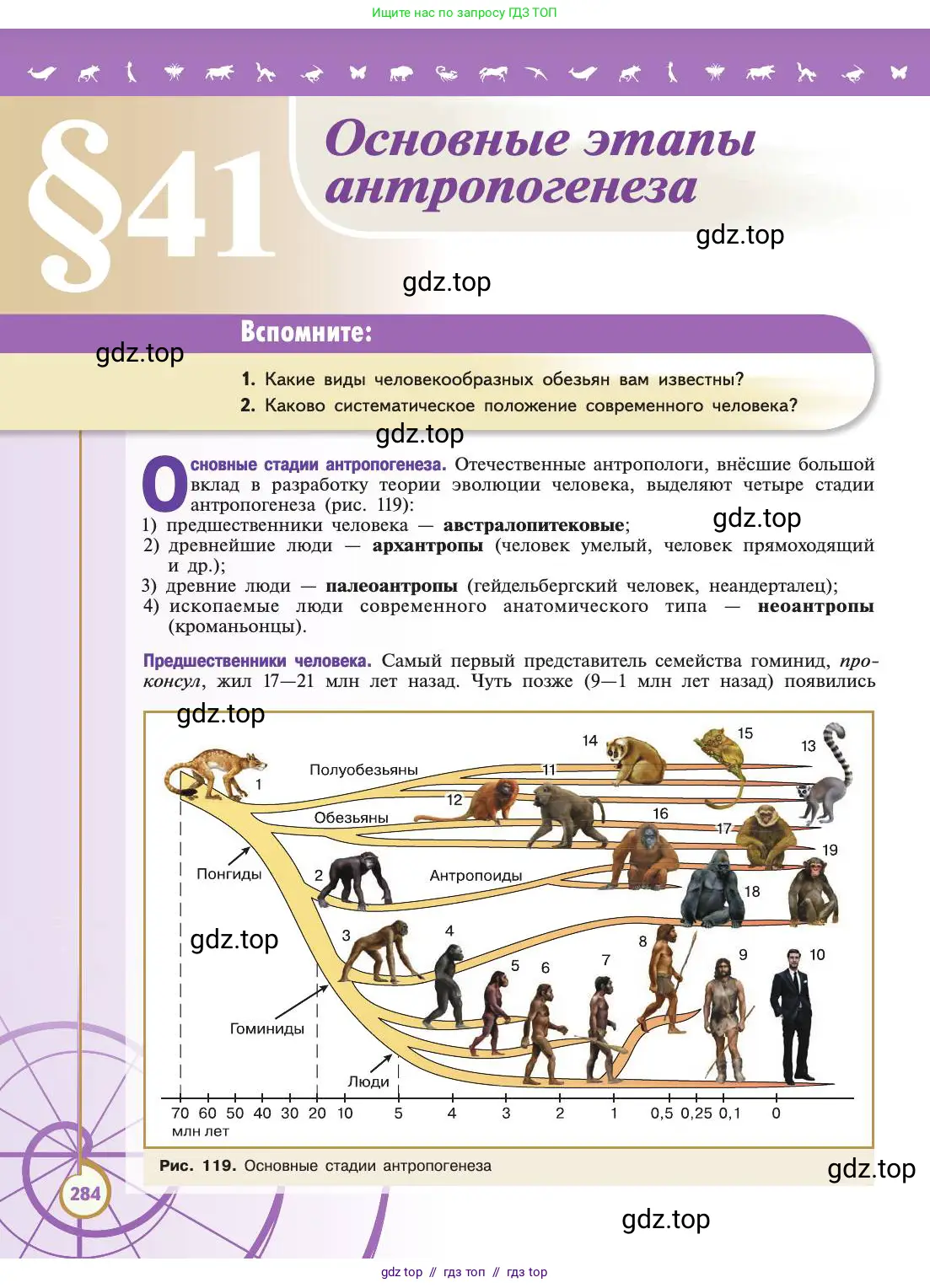 Биология, 11 класс Учебник, авторы: Пасечник Владимир Васильевич, Каменский Андрей Александрович, Рубцов Александр Михайлович, Швецов Глеб Геннадьевич, Абовян Леван Арташесович, Гапонюк Зоя Георгиевна, издательство Просвещение, Москва, 2019, страница 284