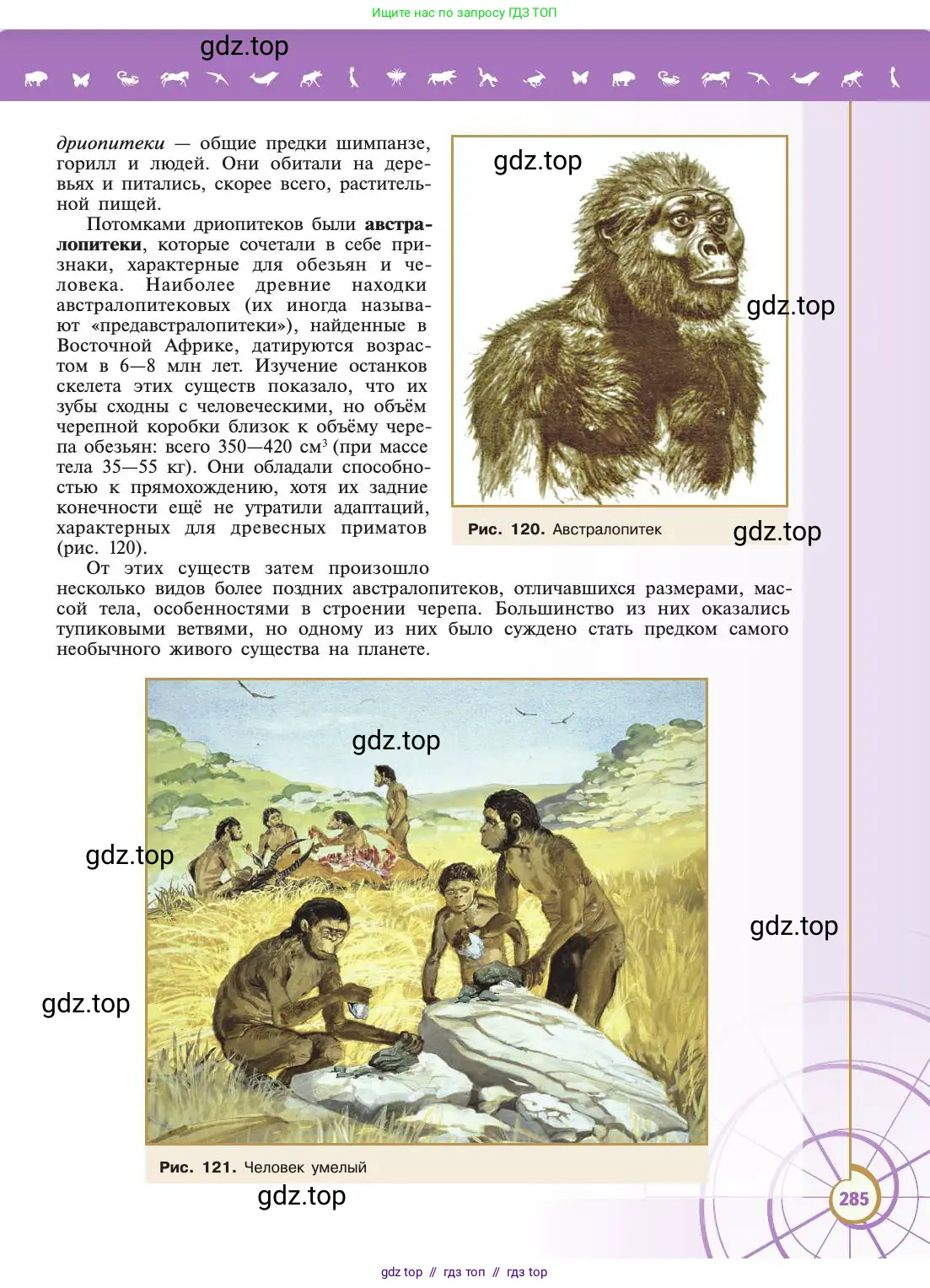 Биология, 11 класс Учебник, авторы: Пасечник Владимир Васильевич, Каменский Андрей Александрович, Рубцов Александр Михайлович, Швецов Глеб Геннадьевич, Абовян Леван Арташесович, Гапонюк Зоя Георгиевна, издательство Просвещение, Москва, 2019, страница 285