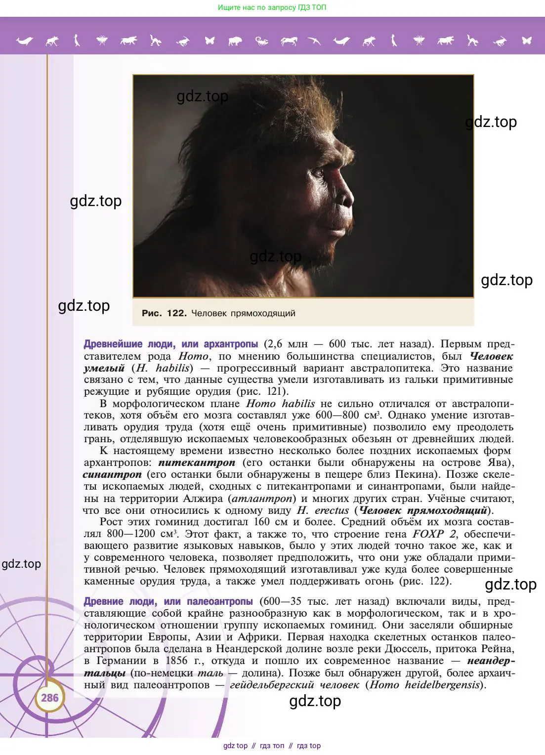 Биология, 11 класс Учебник, авторы: Пасечник Владимир Васильевич, Каменский Андрей Александрович, Рубцов Александр Михайлович, Швецов Глеб Геннадьевич, Абовян Леван Арташесович, Гапонюк Зоя Георгиевна, издательство Просвещение, Москва, 2019, страница 286