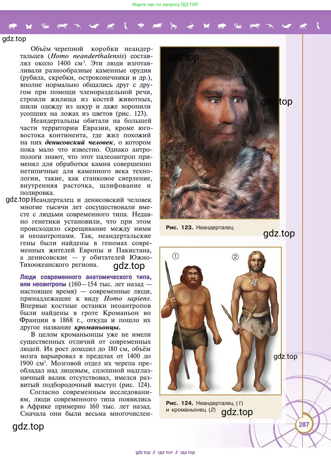 Биология, 11 класс Учебник, авторы: Пасечник Владимир Васильевич, Каменский Андрей Александрович, Рубцов Александр Михайлович, Швецов Глеб Геннадьевич, Абовян Леван Арташесович, Гапонюк Зоя Георгиевна, издательство Просвещение, Москва, 2019, страница 287