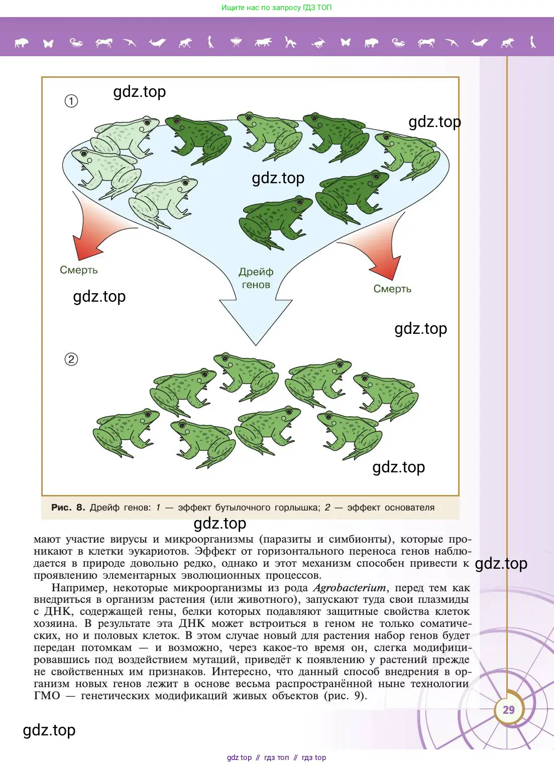 Биология, 11 класс Учебник, авторы: Пасечник Владимир Васильевич, Каменский Андрей Александрович, Рубцов Александр Михайлович, Швецов Глеб Геннадьевич, Абовян Леван Арташесович, Гапонюк Зоя Георгиевна, издательство Просвещение, Москва, 2019, страница 29
