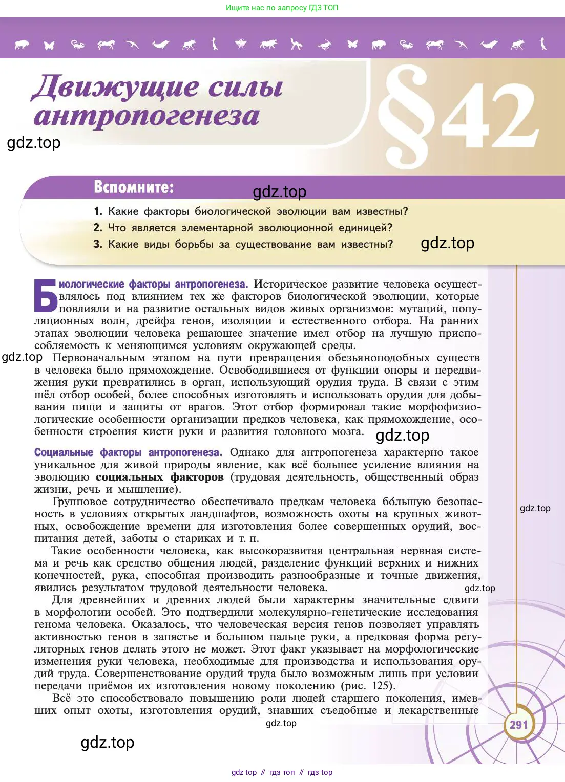 Биология, 11 класс Учебник, авторы: Пасечник Владимир Васильевич, Каменский Андрей Александрович, Рубцов Александр Михайлович, Швецов Глеб Геннадьевич, Абовян Леван Арташесович, Гапонюк Зоя Георгиевна, издательство Просвещение, Москва, 2019, страница 291
