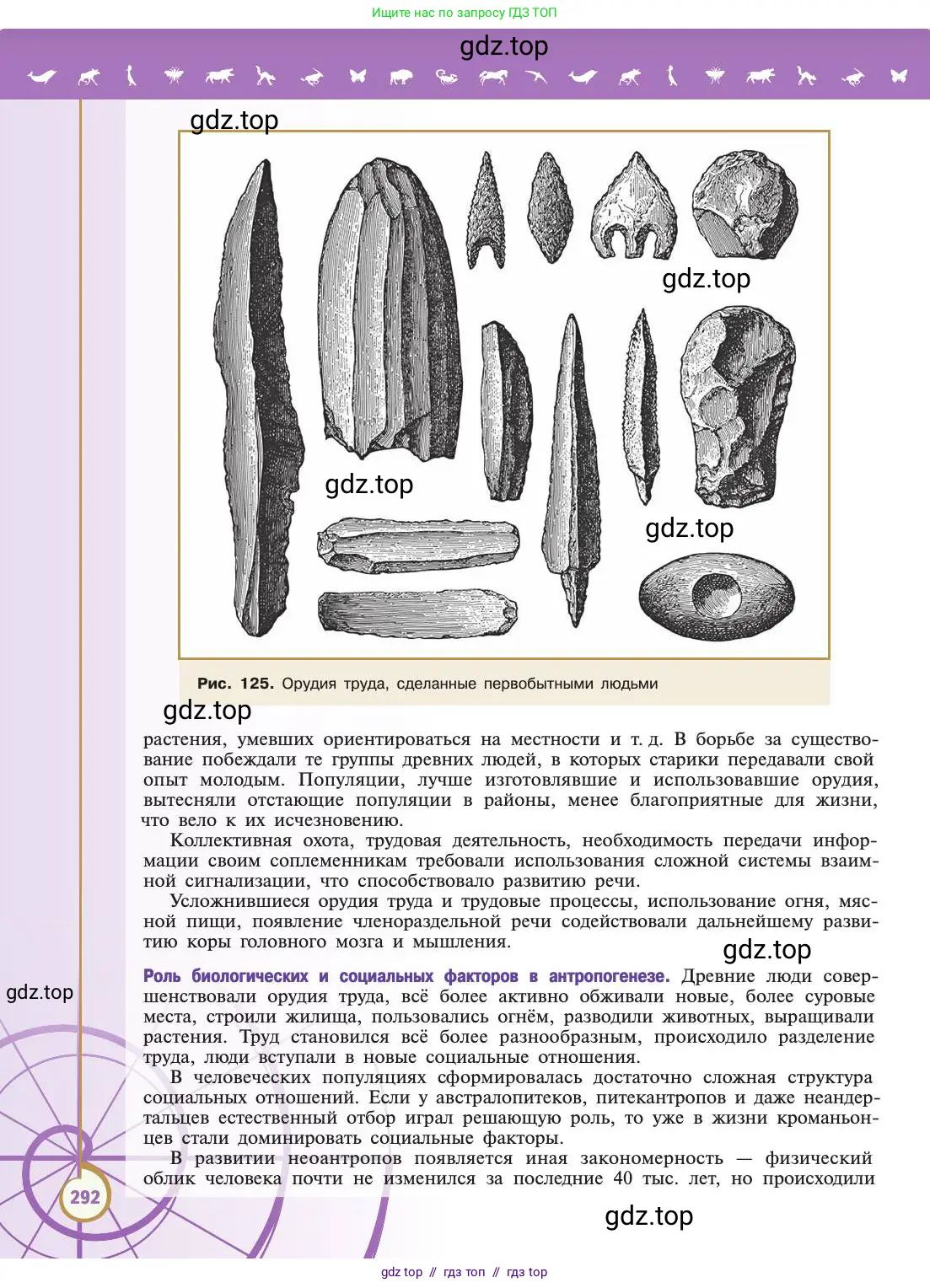 Биология, 11 класс Учебник, авторы: Пасечник Владимир Васильевич, Каменский Андрей Александрович, Рубцов Александр Михайлович, Швецов Глеб Геннадьевич, Абовян Леван Арташесович, Гапонюк Зоя Георгиевна, издательство Просвещение, Москва, 2019, страница 292