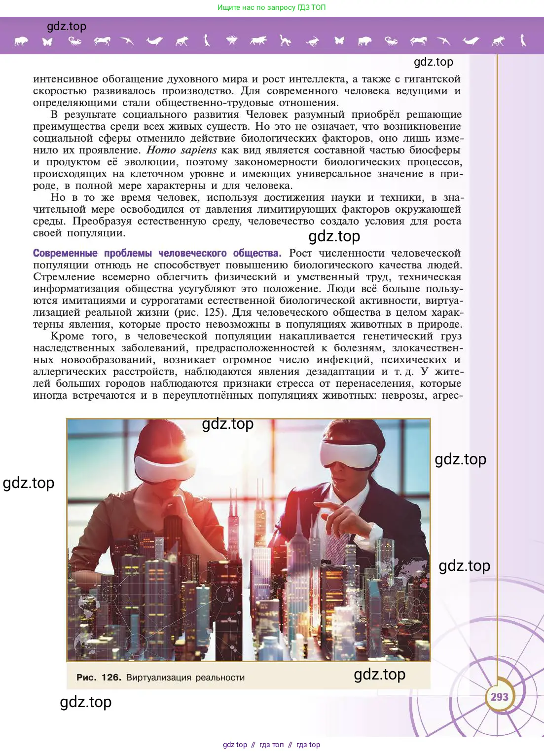 Биология, 11 класс Учебник, авторы: Пасечник Владимир Васильевич, Каменский Андрей Александрович, Рубцов Александр Михайлович, Швецов Глеб Геннадьевич, Абовян Леван Арташесович, Гапонюк Зоя Георгиевна, издательство Просвещение, Москва, 2019, страница 293