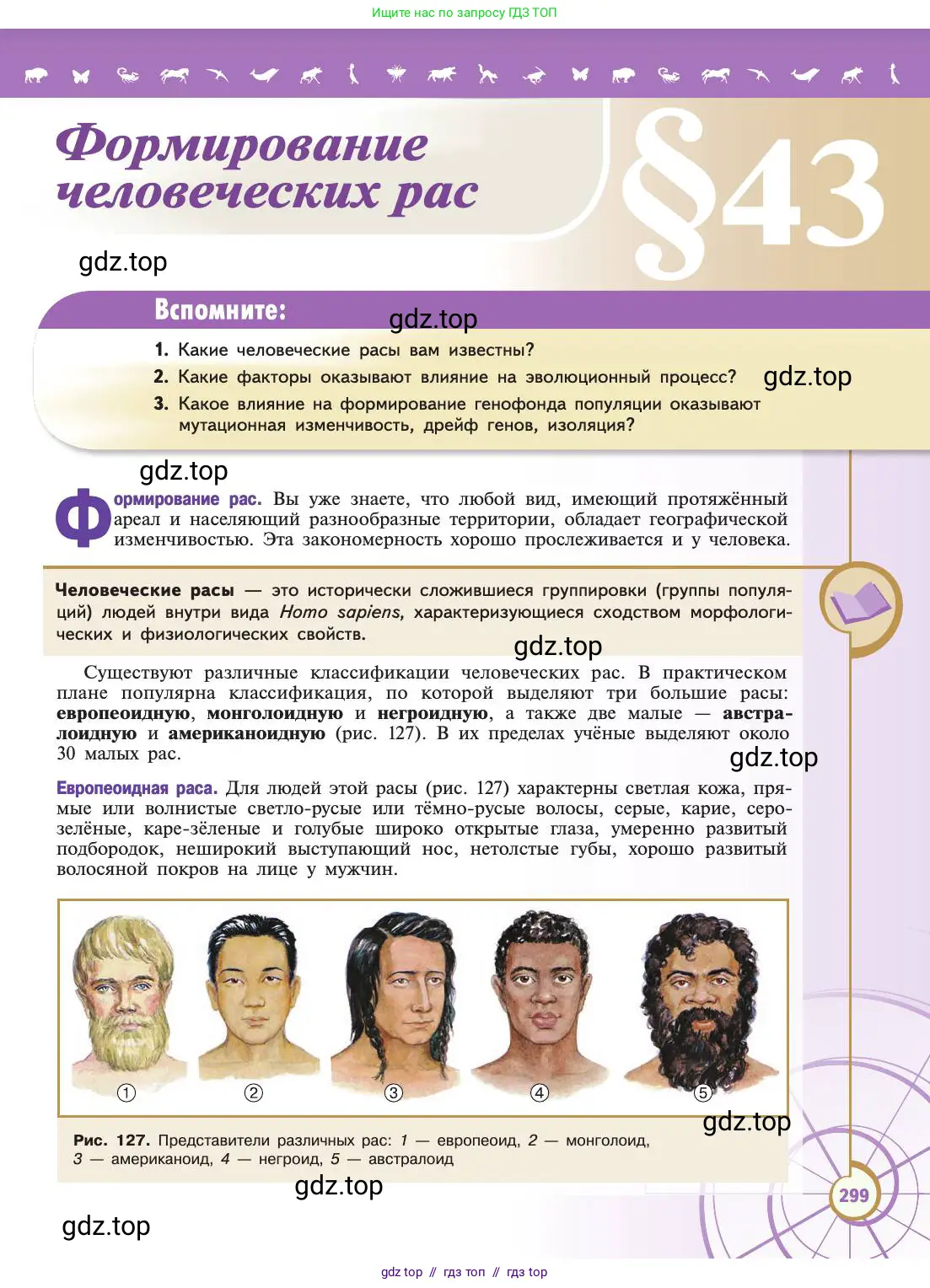 Биология, 11 класс Учебник, авторы: Пасечник Владимир Васильевич, Каменский Андрей Александрович, Рубцов Александр Михайлович, Швецов Глеб Геннадьевич, Абовян Леван Арташесович, Гапонюк Зоя Георгиевна, издательство Просвещение, Москва, 2019, страница 299