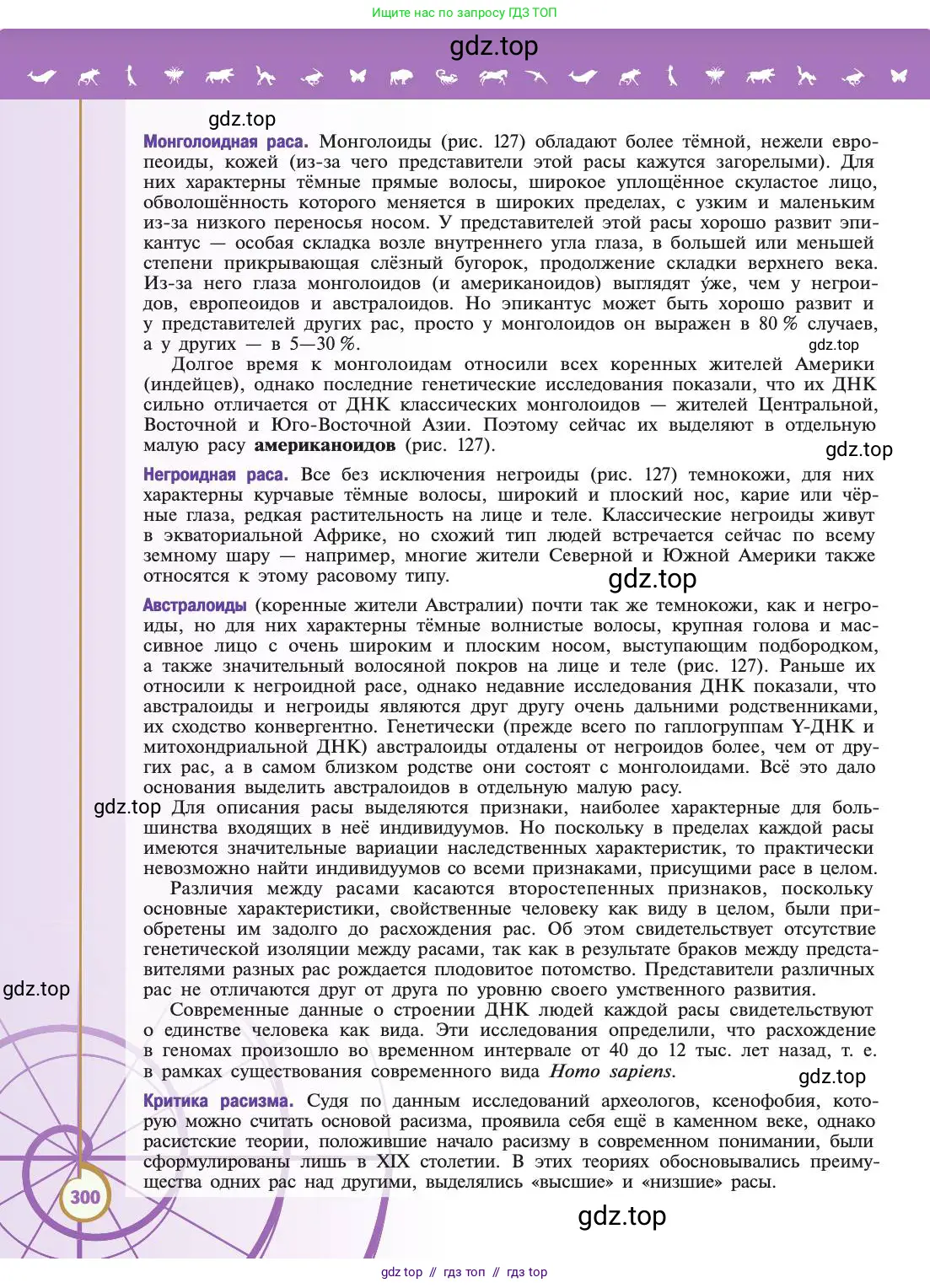 Биология, 11 класс Учебник, авторы: Пасечник Владимир Васильевич, Каменский Андрей Александрович, Рубцов Александр Михайлович, Швецов Глеб Геннадьевич, Абовян Леван Арташесович, Гапонюк Зоя Георгиевна, издательство Просвещение, Москва, 2019, страница 300