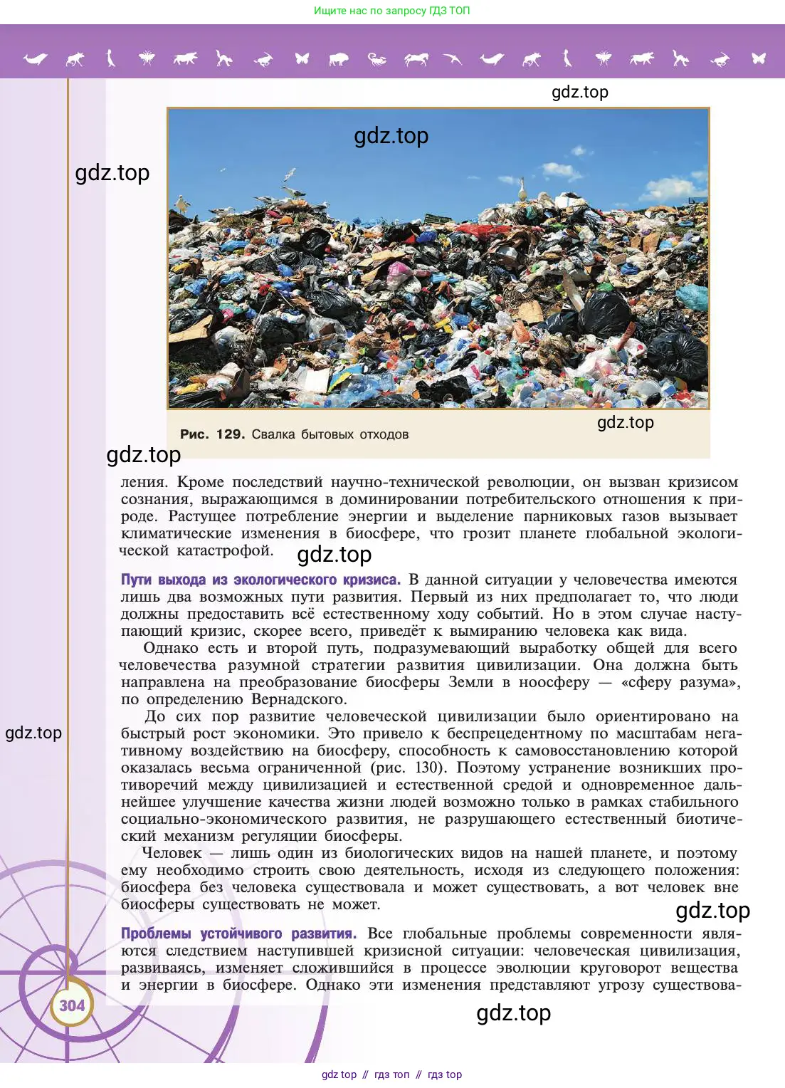 Биология, 11 класс Учебник, авторы: Пасечник Владимир Васильевич, Каменский Андрей Александрович, Рубцов Александр Михайлович, Швецов Глеб Геннадьевич, Абовян Леван Арташесович, Гапонюк Зоя Георгиевна, издательство Просвещение, Москва, 2019, страница 304