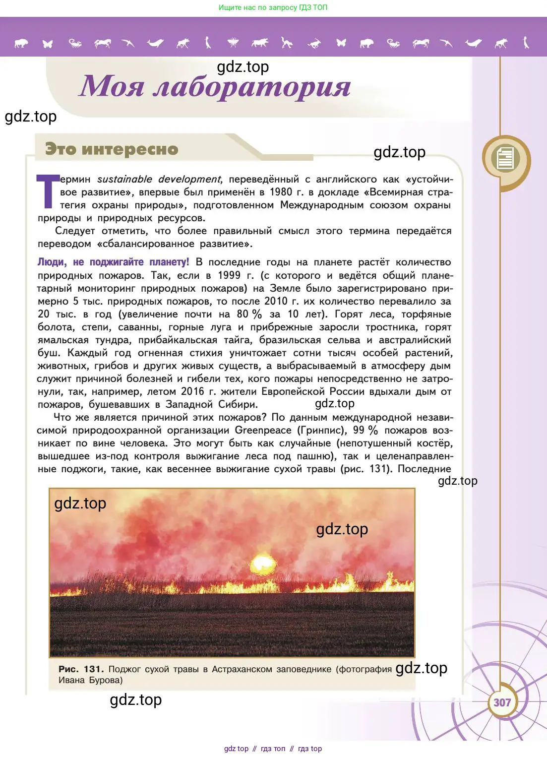 Биология, 11 класс Учебник, авторы: Пасечник Владимир Васильевич, Каменский Андрей Александрович, Рубцов Александр Михайлович, Швецов Глеб Геннадьевич, Абовян Леван Арташесович, Гапонюк Зоя Георгиевна, издательство Просвещение, Москва, 2019, страница 307