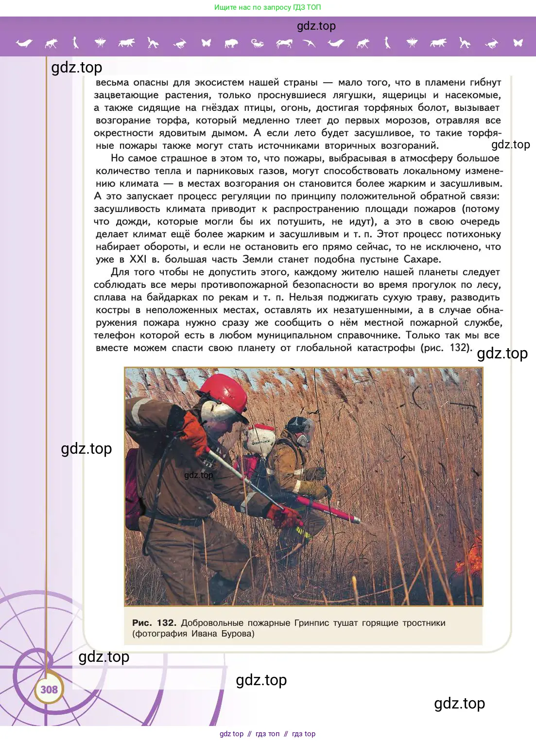 Биология, 11 класс Учебник, авторы: Пасечник Владимир Васильевич, Каменский Андрей Александрович, Рубцов Александр Михайлович, Швецов Глеб Геннадьевич, Абовян Леван Арташесович, Гапонюк Зоя Георгиевна, издательство Просвещение, Москва, 2019, страница 308