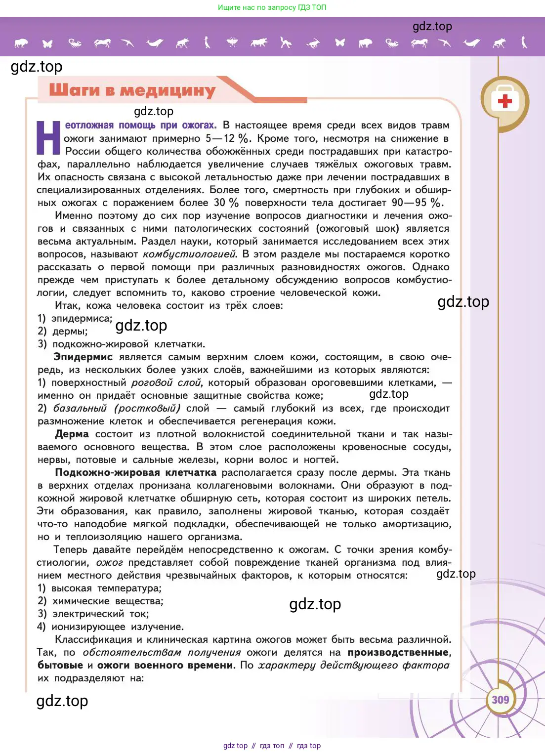 Биология, 11 класс Учебник, авторы: Пасечник Владимир Васильевич, Каменский Андрей Александрович, Рубцов Александр Михайлович, Швецов Глеб Геннадьевич, Абовян Леван Арташесович, Гапонюк Зоя Георгиевна, издательство Просвещение, Москва, 2019, страница 309