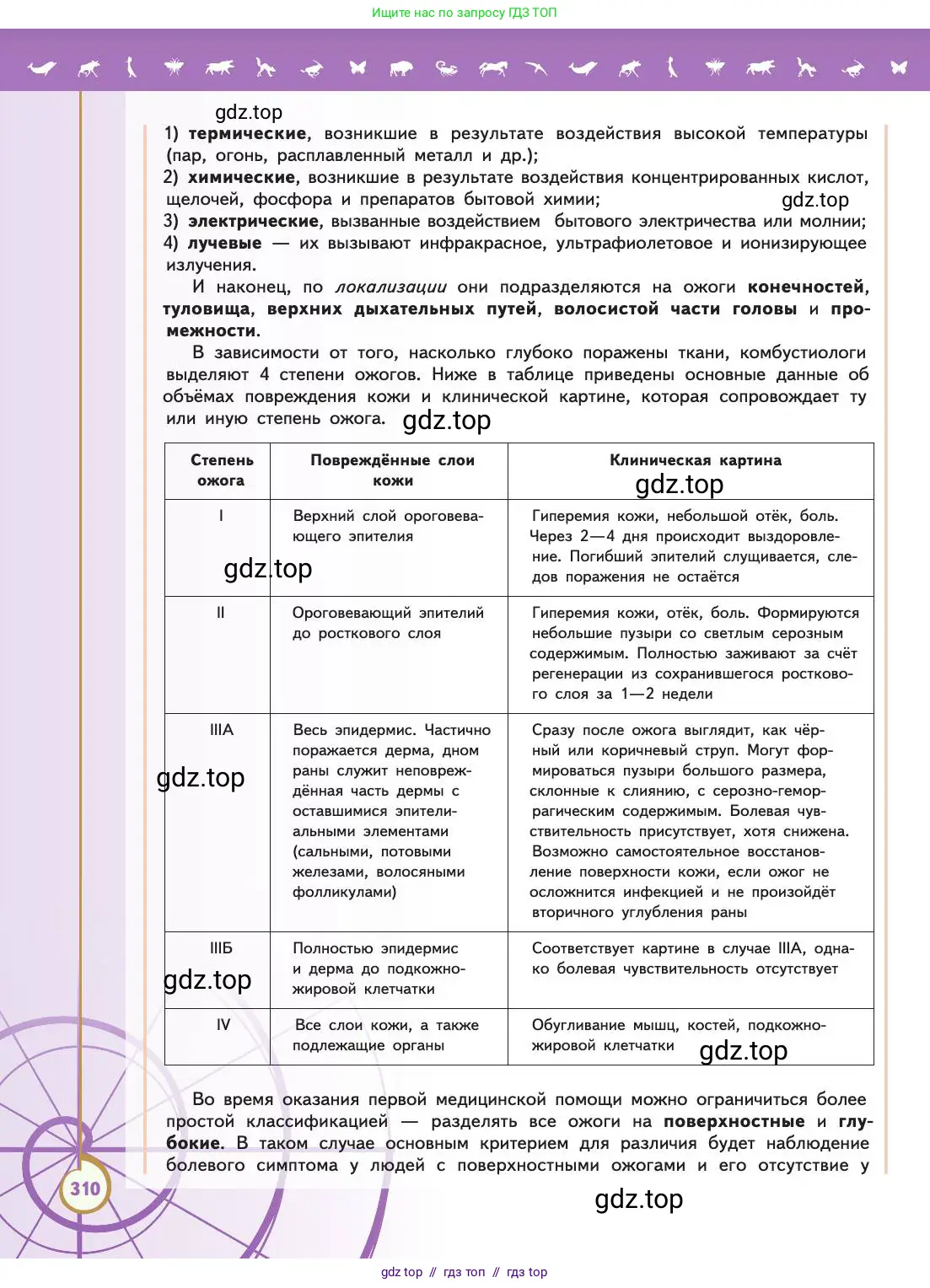 Биология, 11 класс Учебник, авторы: Пасечник Владимир Васильевич, Каменский Андрей Александрович, Рубцов Александр Михайлович, Швецов Глеб Геннадьевич, Абовян Леван Арташесович, Гапонюк Зоя Георгиевна, издательство Просвещение, Москва, 2019, страница 310