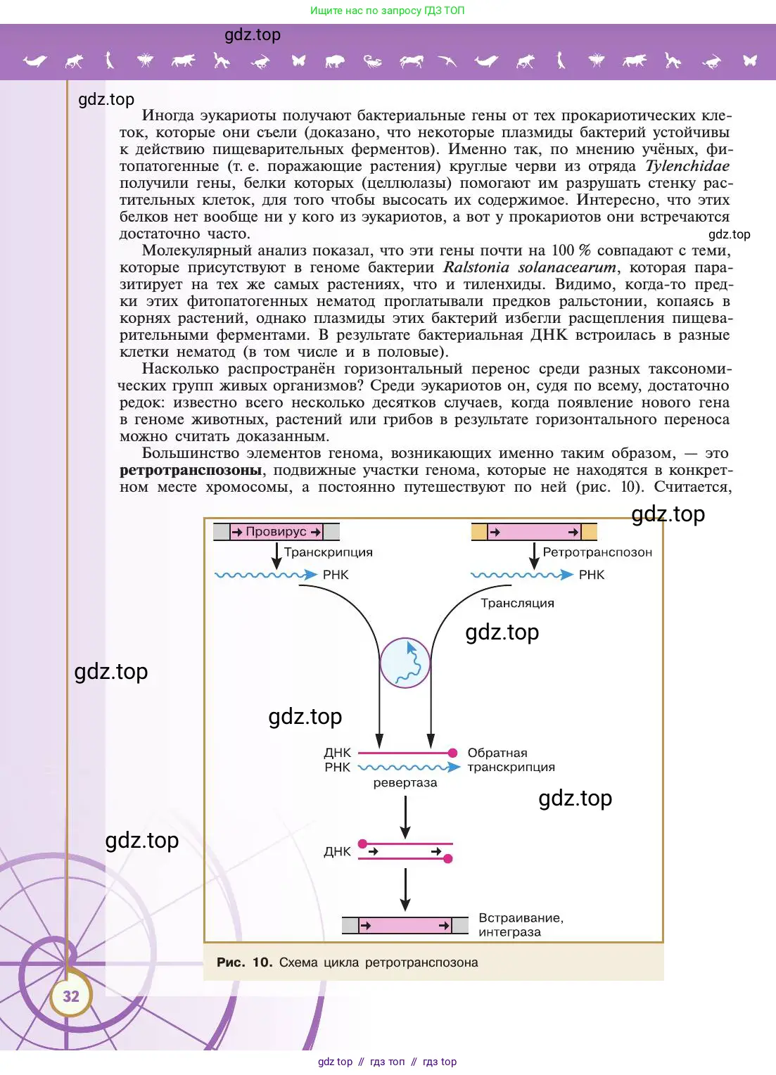 Биология, 11 класс Учебник, авторы: Пасечник Владимир Васильевич, Каменский Андрей Александрович, Рубцов Александр Михайлович, Швецов Глеб Геннадьевич, Абовян Леван Арташесович, Гапонюк Зоя Георгиевна, издательство Просвещение, Москва, 2019, страница 32