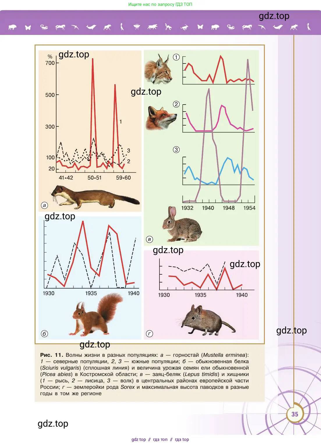Биология, 11 класс Учебник, авторы: Пасечник Владимир Васильевич, Каменский Андрей Александрович, Рубцов Александр Михайлович, Швецов Глеб Геннадьевич, Абовян Леван Арташесович, Гапонюк Зоя Георгиевна, издательство Просвещение, Москва, 2019, страница 35