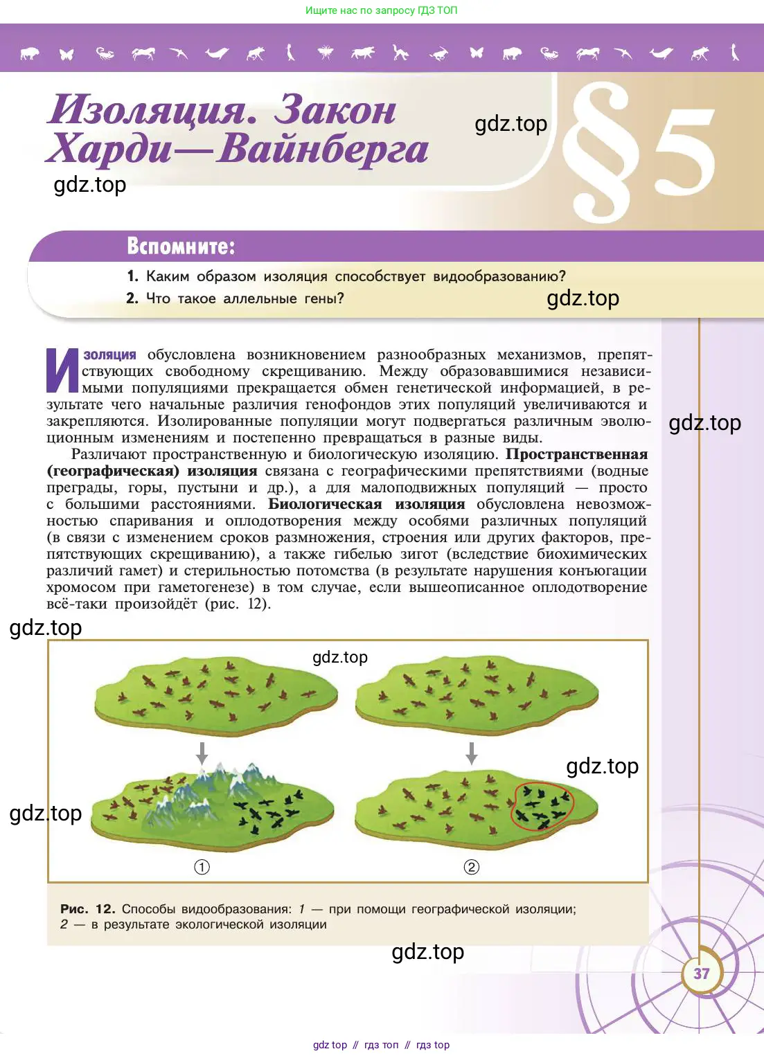 Биология, 11 класс Учебник, авторы: Пасечник Владимир Васильевич, Каменский Андрей Александрович, Рубцов Александр Михайлович, Швецов Глеб Геннадьевич, Абовян Леван Арташесович, Гапонюк Зоя Георгиевна, издательство Просвещение, Москва, 2019, страница 37