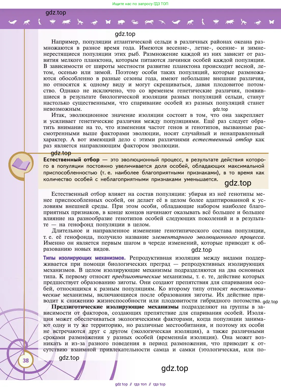 Биология, 11 класс Учебник, авторы: Пасечник Владимир Васильевич, Каменский Андрей Александрович, Рубцов Александр Михайлович, Швецов Глеб Геннадьевич, Абовян Леван Арташесович, Гапонюк Зоя Георгиевна, издательство Просвещение, Москва, 2019, страница 38