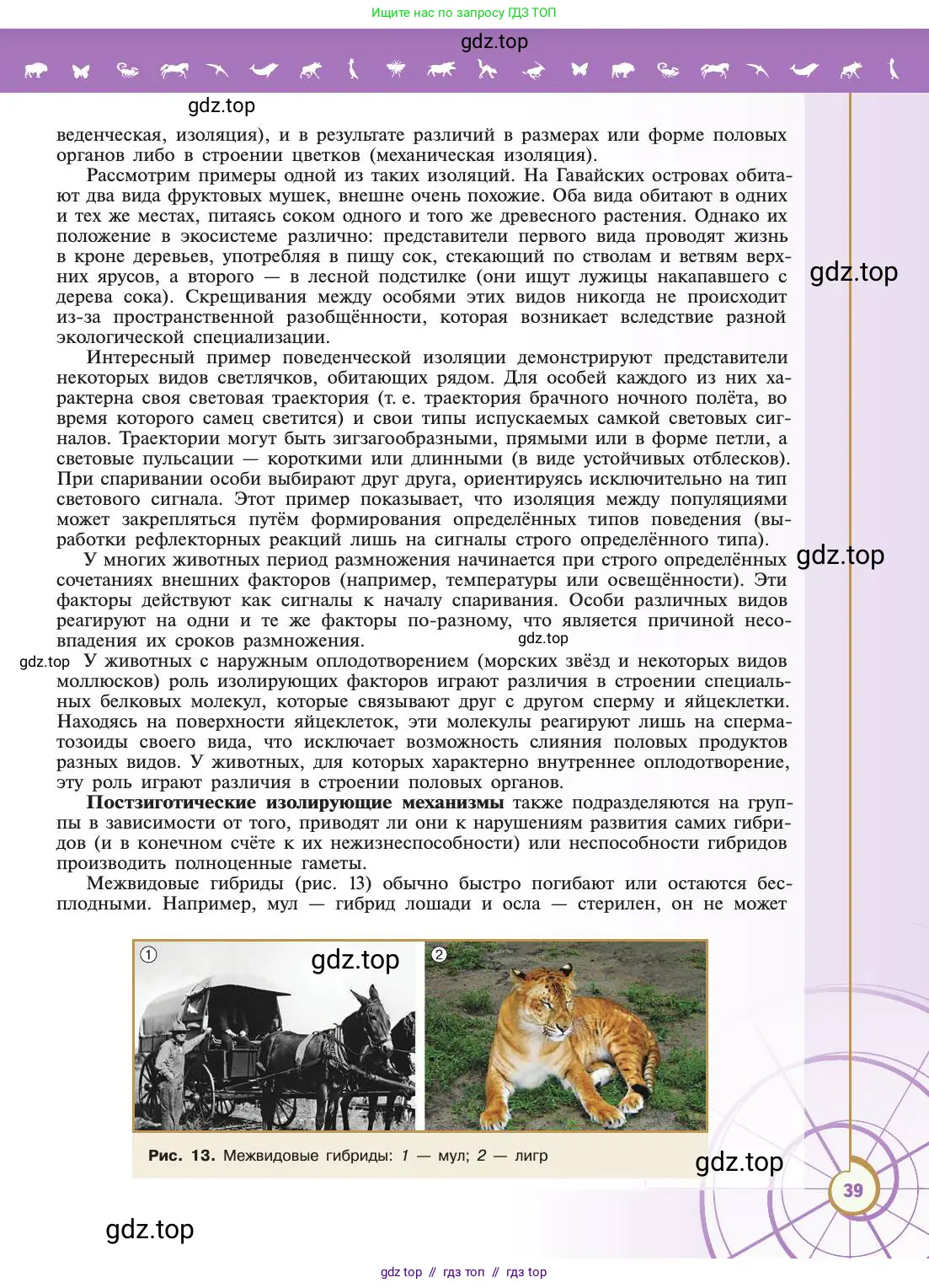 Биология, 11 класс Учебник, авторы: Пасечник Владимир Васильевич, Каменский Андрей Александрович, Рубцов Александр Михайлович, Швецов Глеб Геннадьевич, Абовян Леван Арташесович, Гапонюк Зоя Георгиевна, издательство Просвещение, Москва, 2019, страница 39