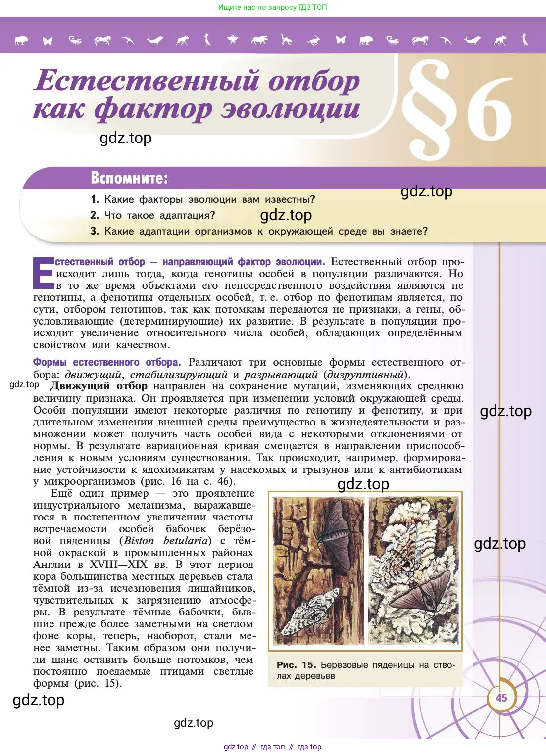 Биология, 11 класс Учебник, авторы: Пасечник Владимир Васильевич, Каменский Андрей Александрович, Рубцов Александр Михайлович, Швецов Глеб Геннадьевич, Абовян Леван Арташесович, Гапонюк Зоя Георгиевна, издательство Просвещение, Москва, 2019, страница 45
