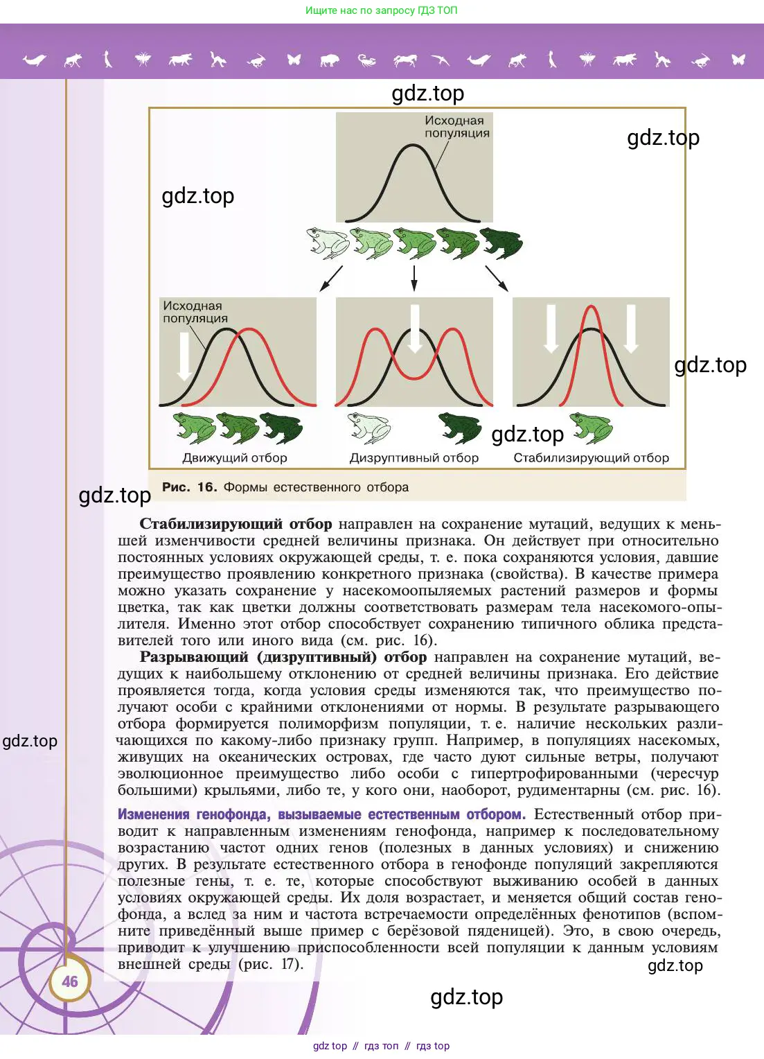 Биология, 11 класс Учебник, авторы: Пасечник Владимир Васильевич, Каменский Андрей Александрович, Рубцов Александр Михайлович, Швецов Глеб Геннадьевич, Абовян Леван Арташесович, Гапонюк Зоя Георгиевна, издательство Просвещение, Москва, 2019, страница 46