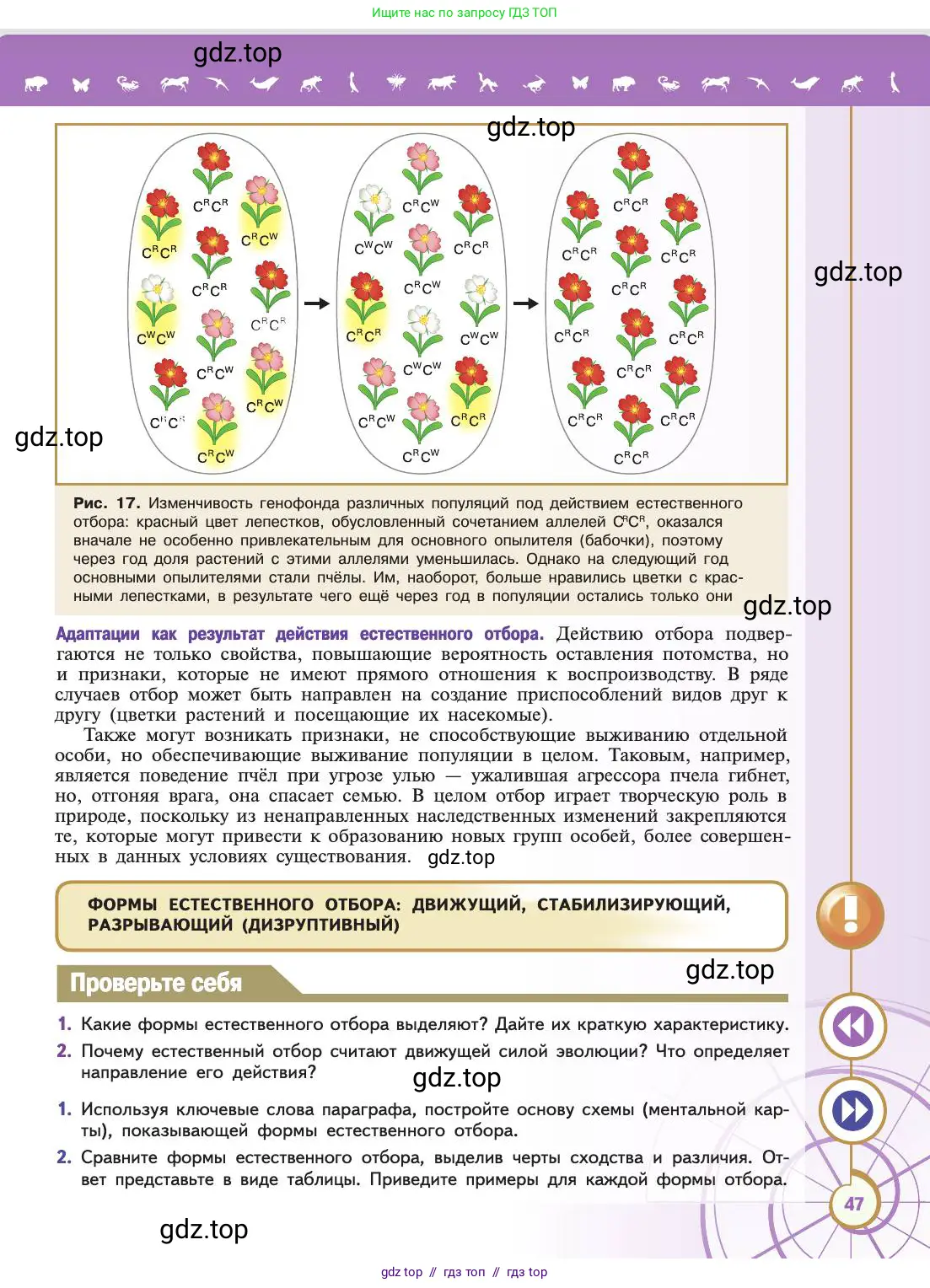 Биология, 11 класс Учебник, авторы: Пасечник Владимир Васильевич, Каменский Андрей Александрович, Рубцов Александр Михайлович, Швецов Глеб Геннадьевич, Абовян Леван Арташесович, Гапонюк Зоя Георгиевна, издательство Просвещение, Москва, 2019, страница 47