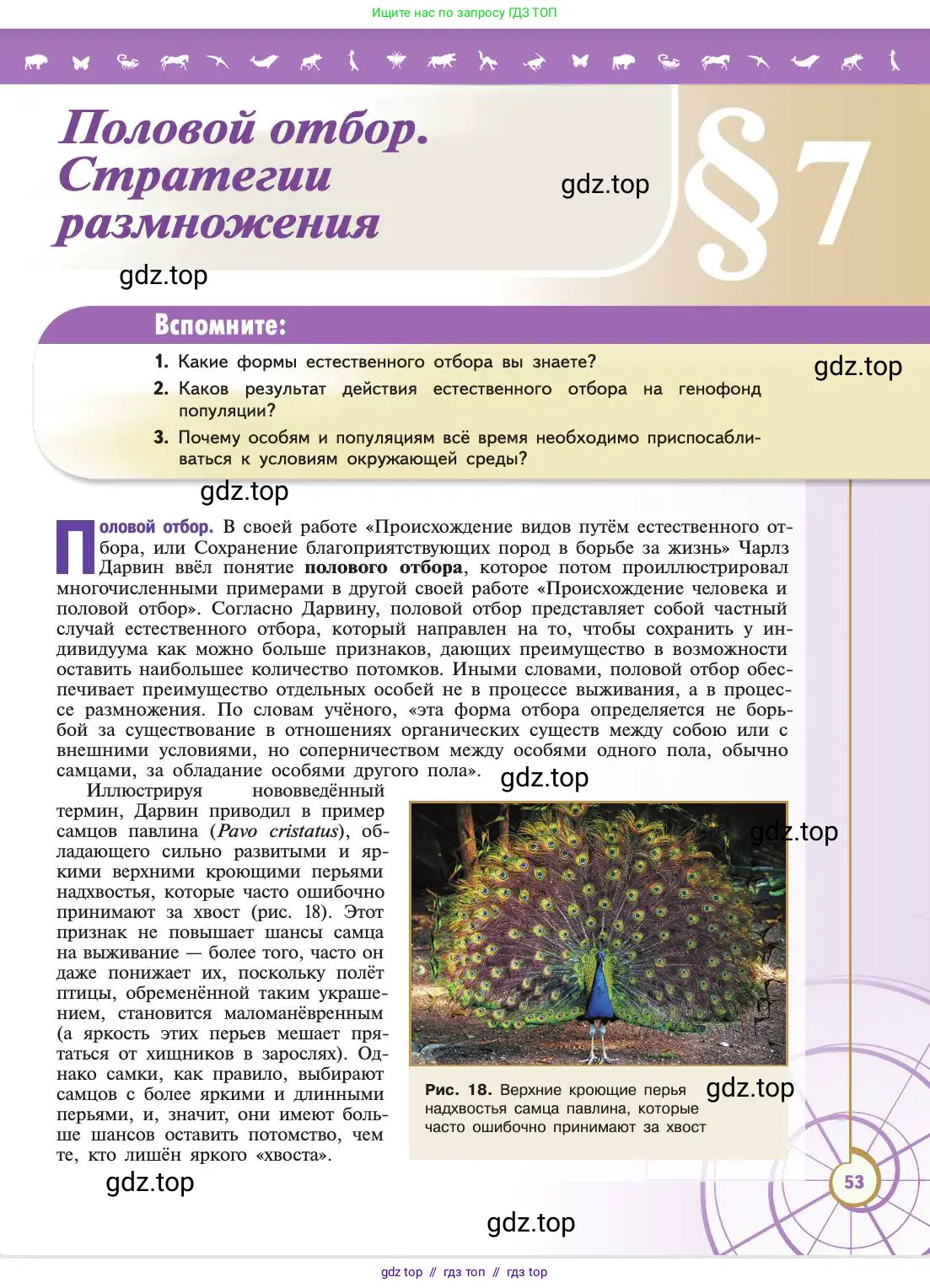 Биология, 11 класс Учебник, авторы: Пасечник Владимир Васильевич, Каменский Андрей Александрович, Рубцов Александр Михайлович, Швецов Глеб Геннадьевич, Абовян Леван Арташесович, Гапонюк Зоя Георгиевна, издательство Просвещение, Москва, 2019, страница 53