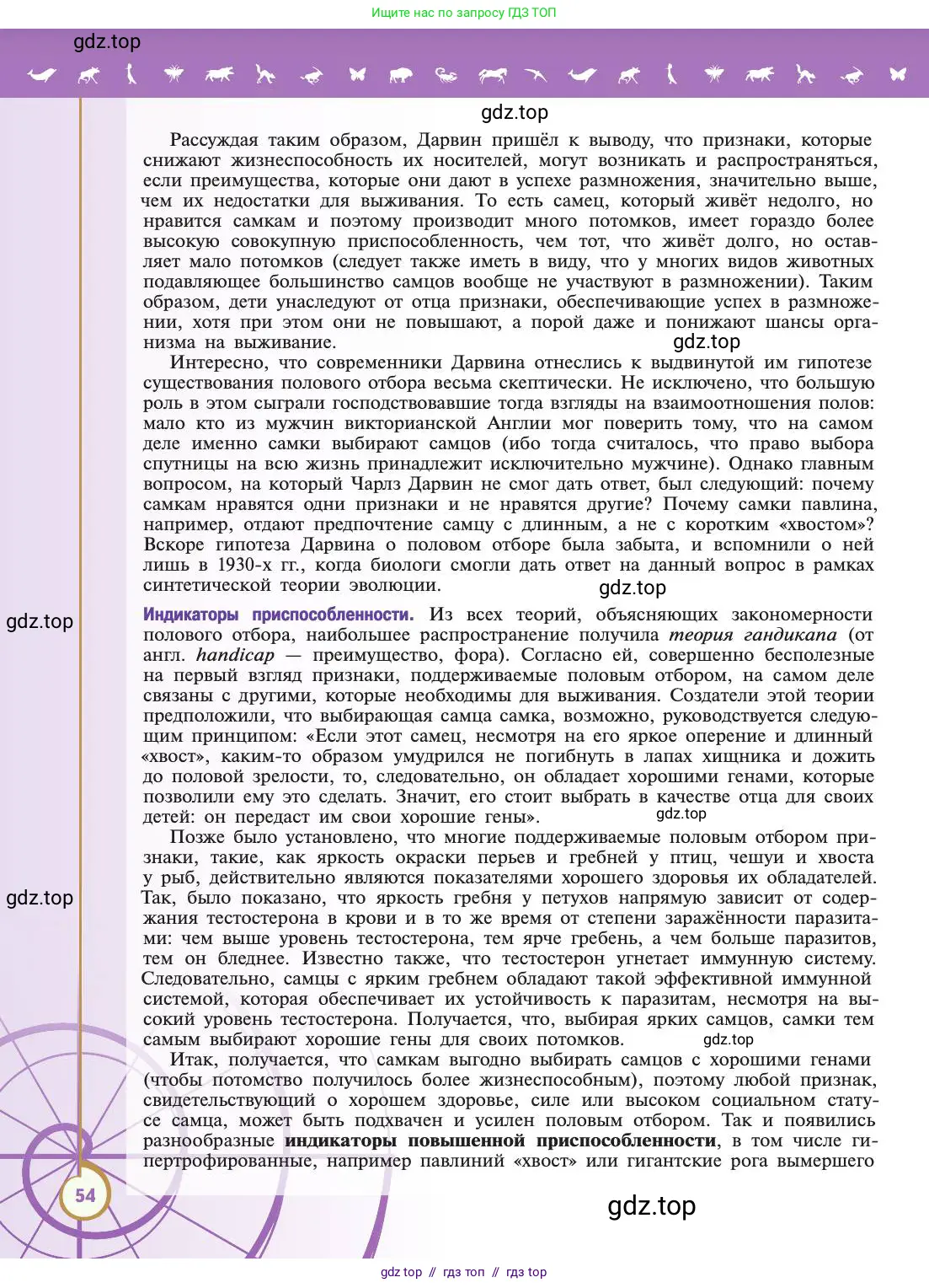 Биология, 11 класс Учебник, авторы: Пасечник Владимир Васильевич, Каменский Андрей Александрович, Рубцов Александр Михайлович, Швецов Глеб Геннадьевич, Абовян Леван Арташесович, Гапонюк Зоя Георгиевна, издательство Просвещение, Москва, 2019, страница 54