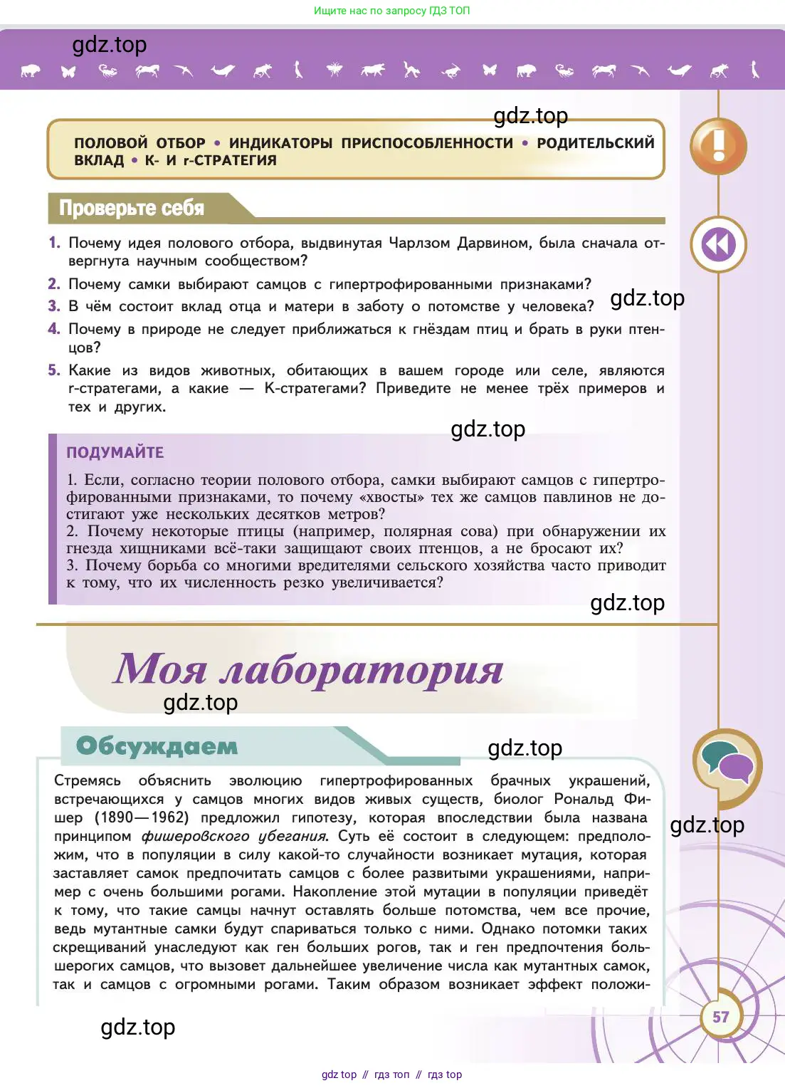 Биология, 11 класс Учебник, авторы: Пасечник Владимир Васильевич, Каменский Андрей Александрович, Рубцов Александр Михайлович, Швецов Глеб Геннадьевич, Абовян Леван Арташесович, Гапонюк Зоя Георгиевна, издательство Просвещение, Москва, 2019, страница 57
