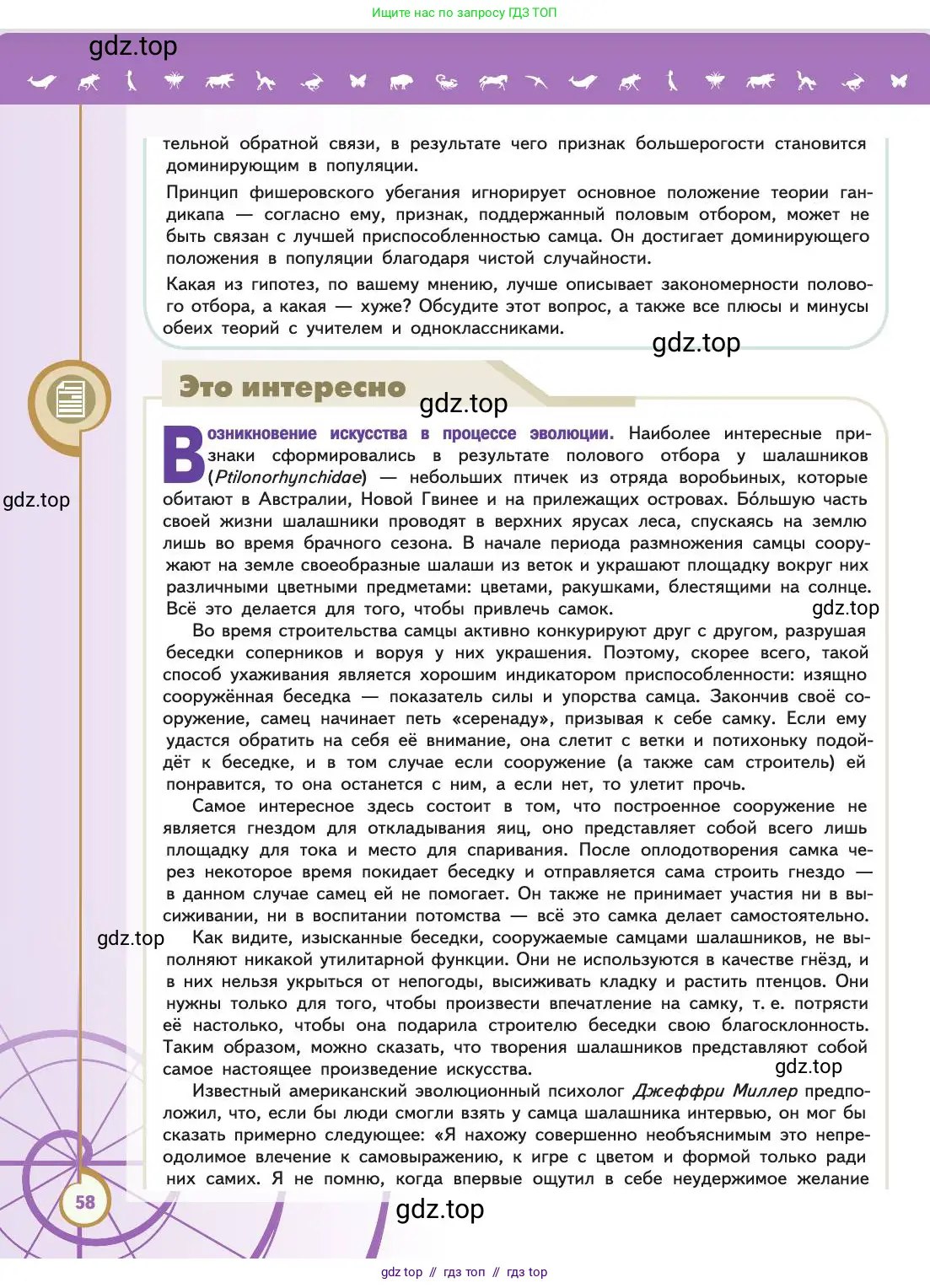 Биология, 11 класс Учебник, авторы: Пасечник Владимир Васильевич, Каменский Андрей Александрович, Рубцов Александр Михайлович, Швецов Глеб Геннадьевич, Абовян Леван Арташесович, Гапонюк Зоя Георгиевна, издательство Просвещение, Москва, 2019, страница 58