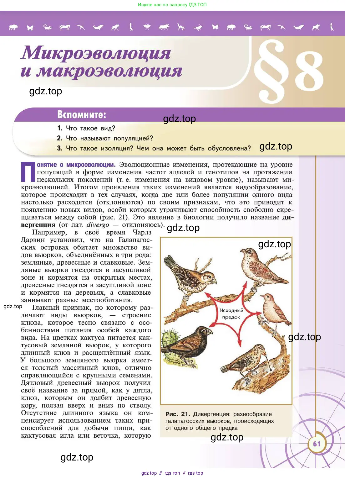 Биология, 11 класс Учебник, авторы: Пасечник Владимир Васильевич, Каменский Андрей Александрович, Рубцов Александр Михайлович, Швецов Глеб Геннадьевич, Абовян Леван Арташесович, Гапонюк Зоя Георгиевна, издательство Просвещение, Москва, 2019, страница 61