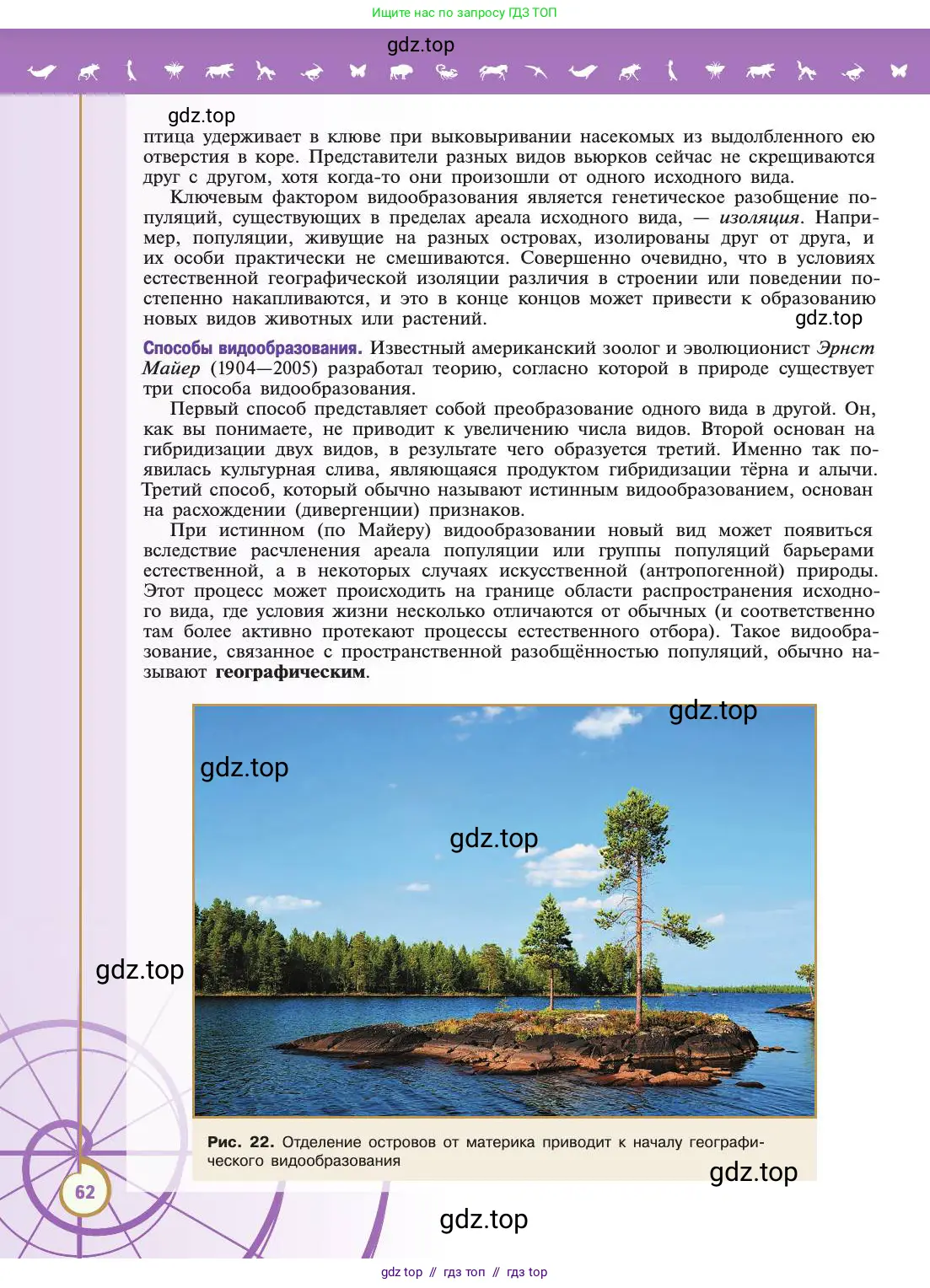 Биология, 11 класс Учебник, авторы: Пасечник Владимир Васильевич, Каменский Андрей Александрович, Рубцов Александр Михайлович, Швецов Глеб Геннадьевич, Абовян Леван Арташесович, Гапонюк Зоя Георгиевна, издательство Просвещение, Москва, 2019, страница 62