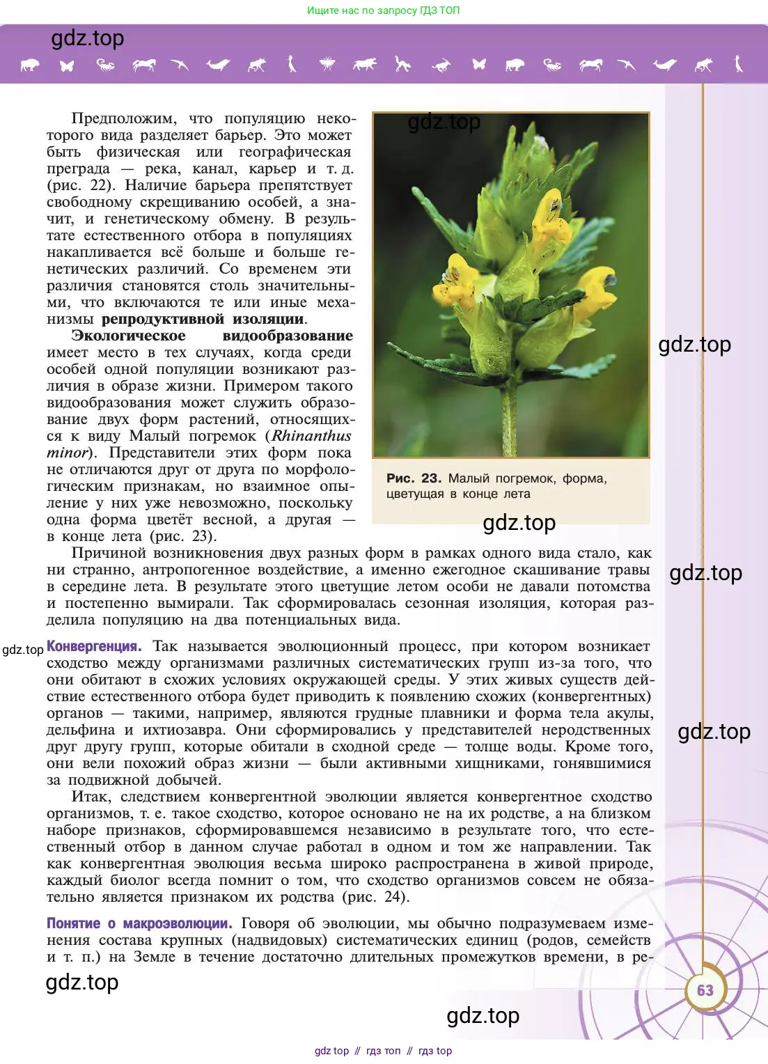 Биология, 11 класс Учебник, авторы: Пасечник Владимир Васильевич, Каменский Андрей Александрович, Рубцов Александр Михайлович, Швецов Глеб Геннадьевич, Абовян Леван Арташесович, Гапонюк Зоя Георгиевна, издательство Просвещение, Москва, 2019, страница 63