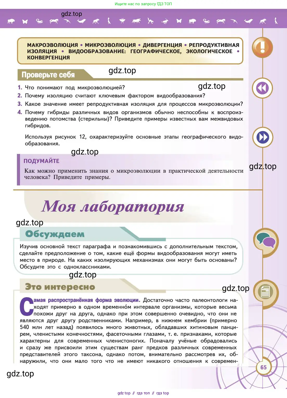 Биология, 11 класс Учебник, авторы: Пасечник Владимир Васильевич, Каменский Андрей Александрович, Рубцов Александр Михайлович, Швецов Глеб Геннадьевич, Абовян Леван Арташесович, Гапонюк Зоя Георгиевна, издательство Просвещение, Москва, 2019, страница 65