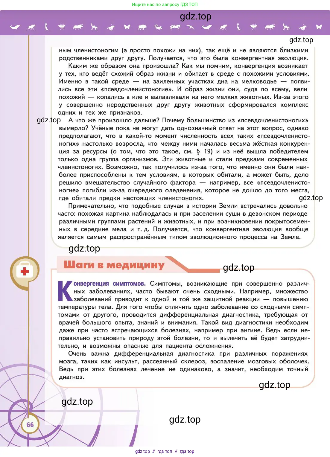 Биология, 11 класс Учебник, авторы: Пасечник Владимир Васильевич, Каменский Андрей Александрович, Рубцов Александр Михайлович, Швецов Глеб Геннадьевич, Абовян Леван Арташесович, Гапонюк Зоя Георгиевна, издательство Просвещение, Москва, 2019, страница 66