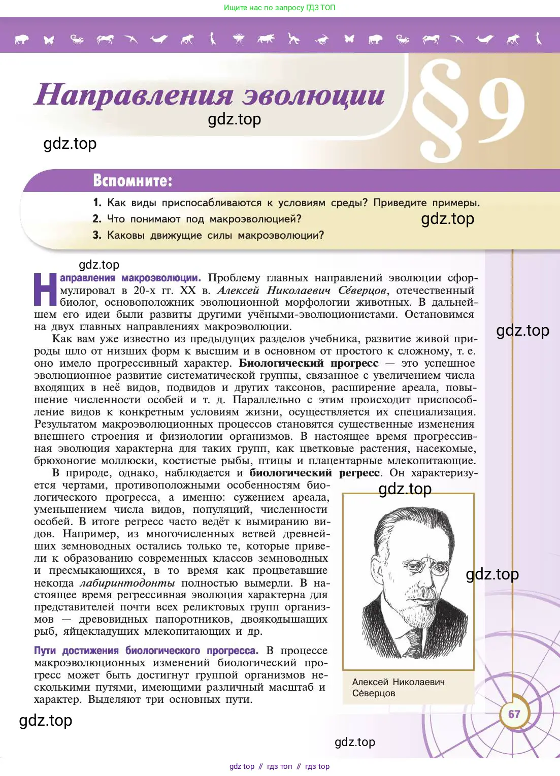Биология, 11 класс Учебник, авторы: Пасечник Владимир Васильевич, Каменский Андрей Александрович, Рубцов Александр Михайлович, Швецов Глеб Геннадьевич, Абовян Леван Арташесович, Гапонюк Зоя Георгиевна, издательство Просвещение, Москва, 2019, страница 67